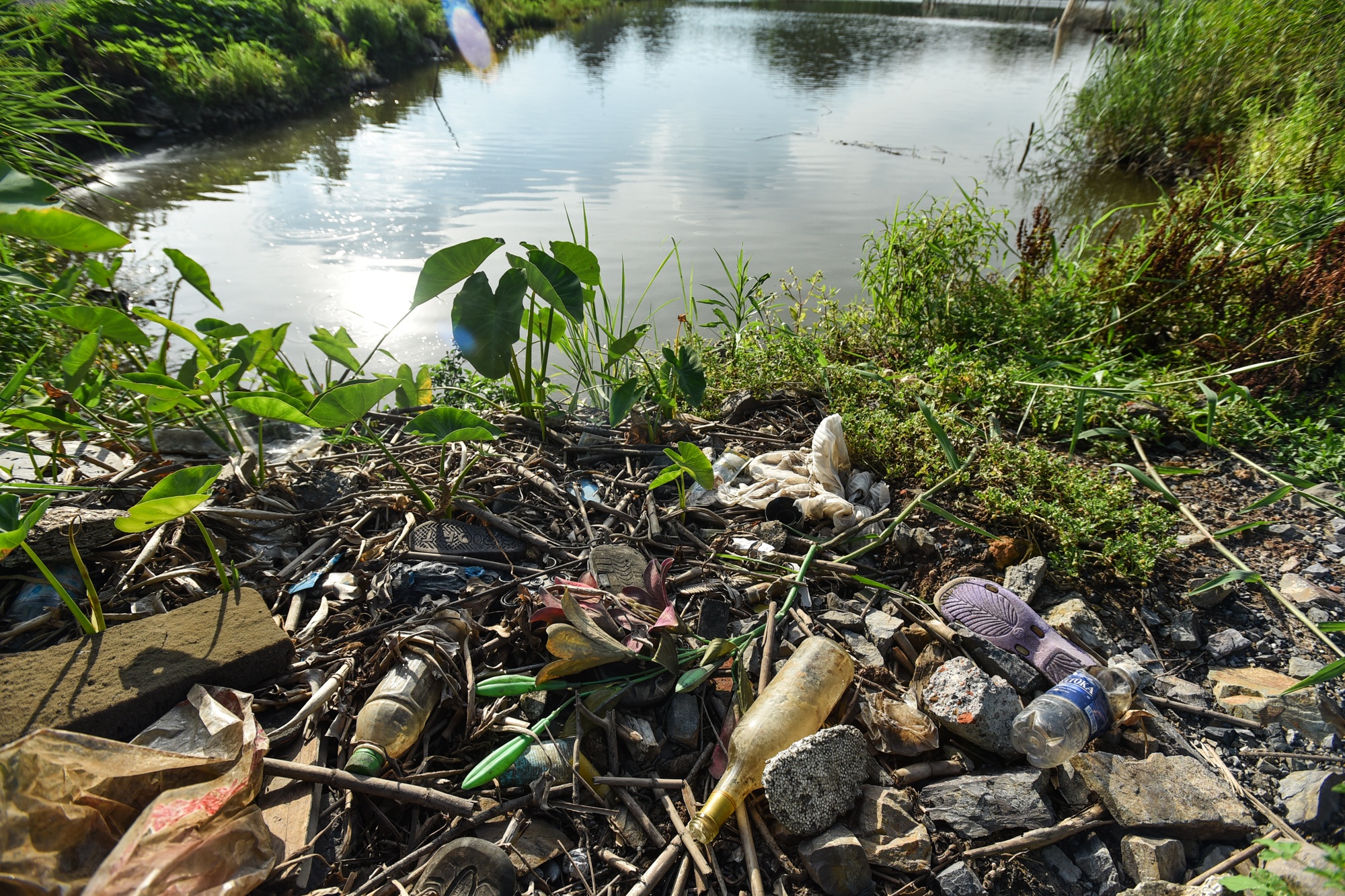 Kenh Sao Khe doi von 2600 ty anh 10