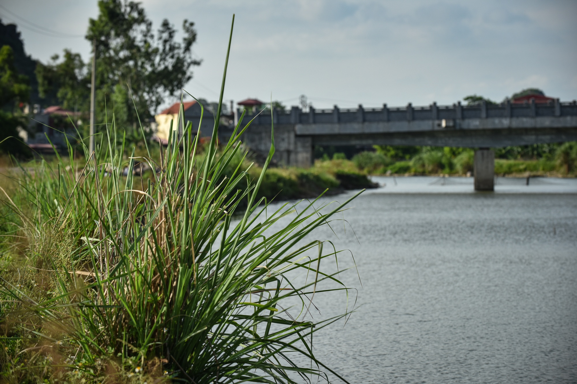 Kenh Sao Khe doi von 2600 ty anh 8