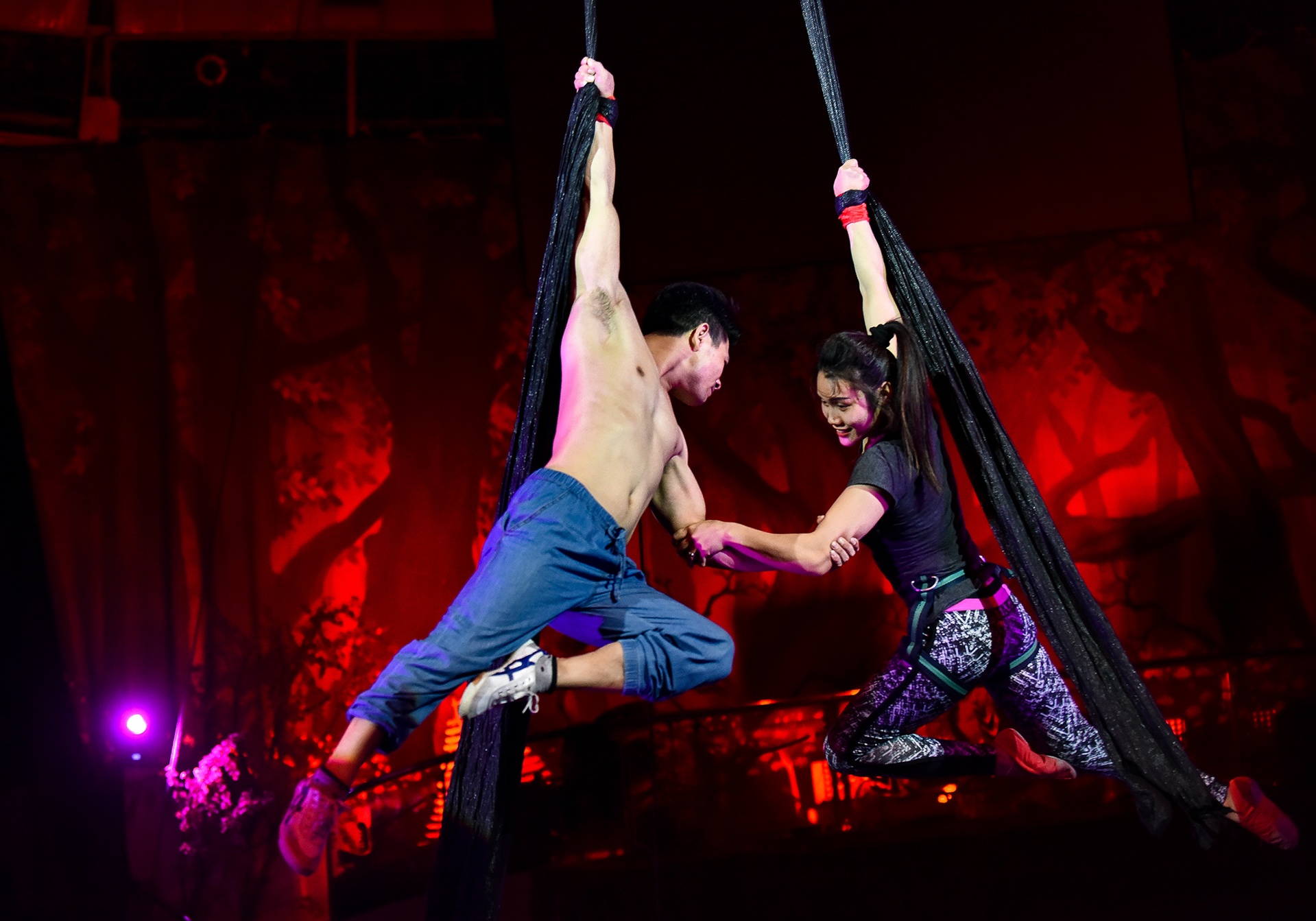 Dien vien xiec anh 5