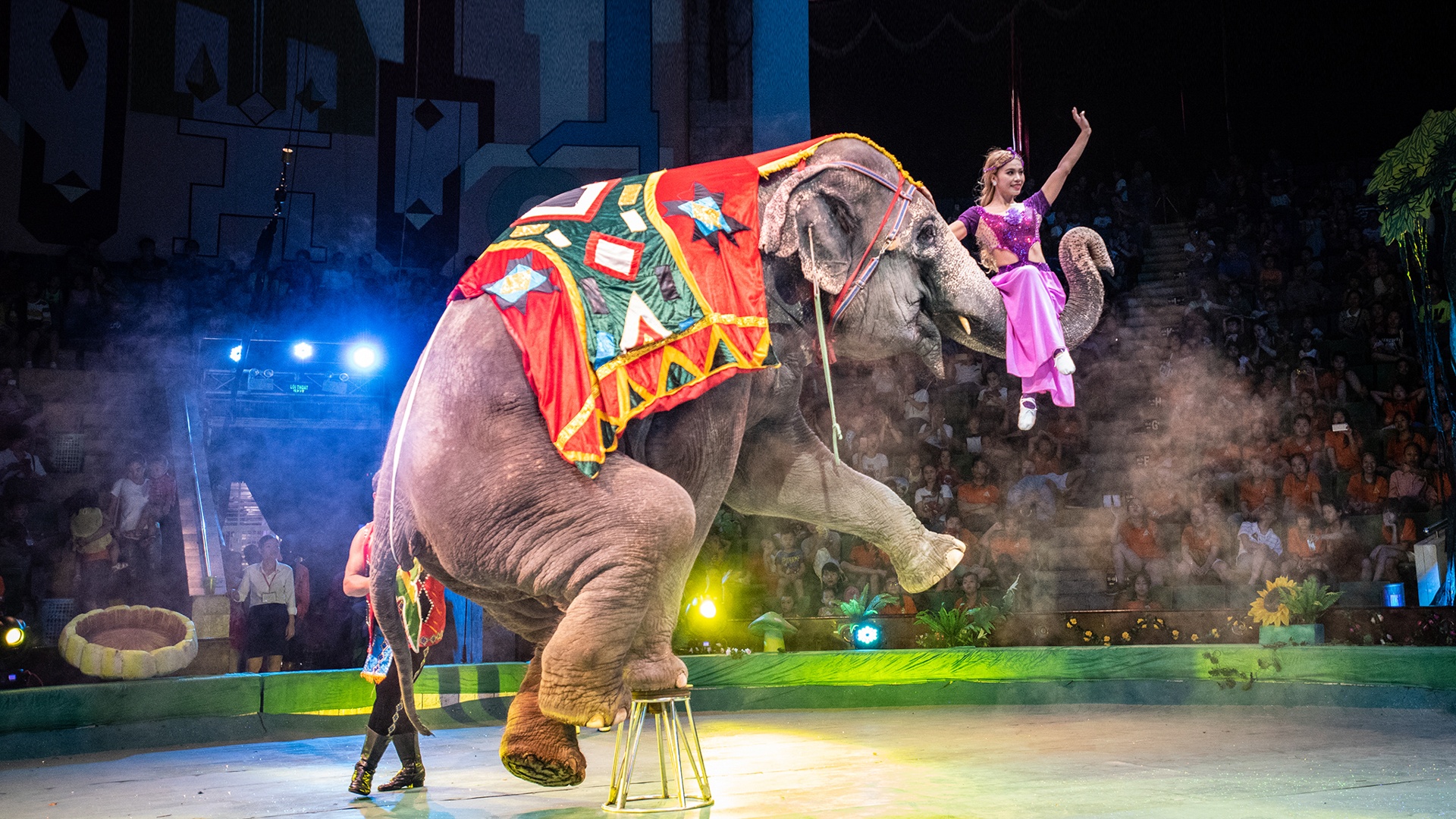 Dien vien xiec anh 19