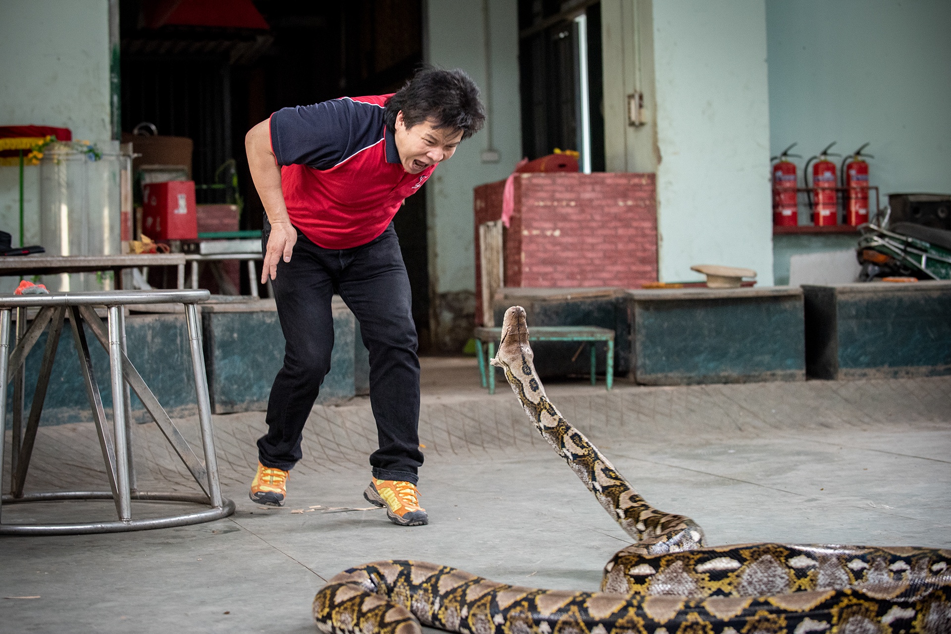 Dien vien xiec anh 26