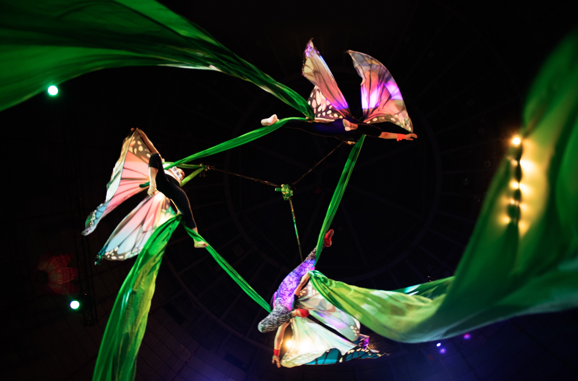 Dien vien xiec anh 10