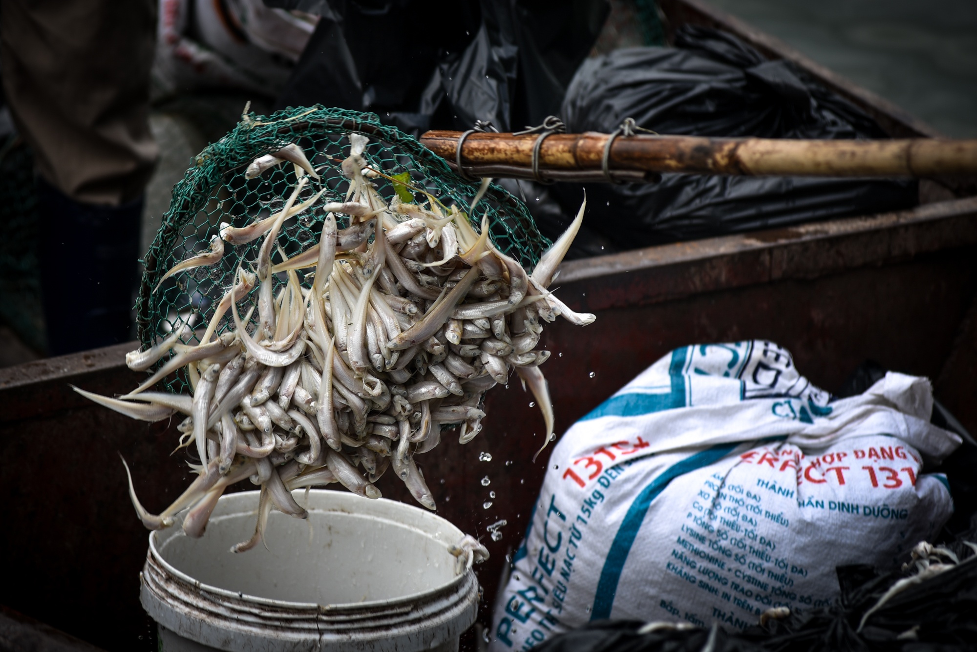 Ca chet noi trang mat ho Tay anh 5