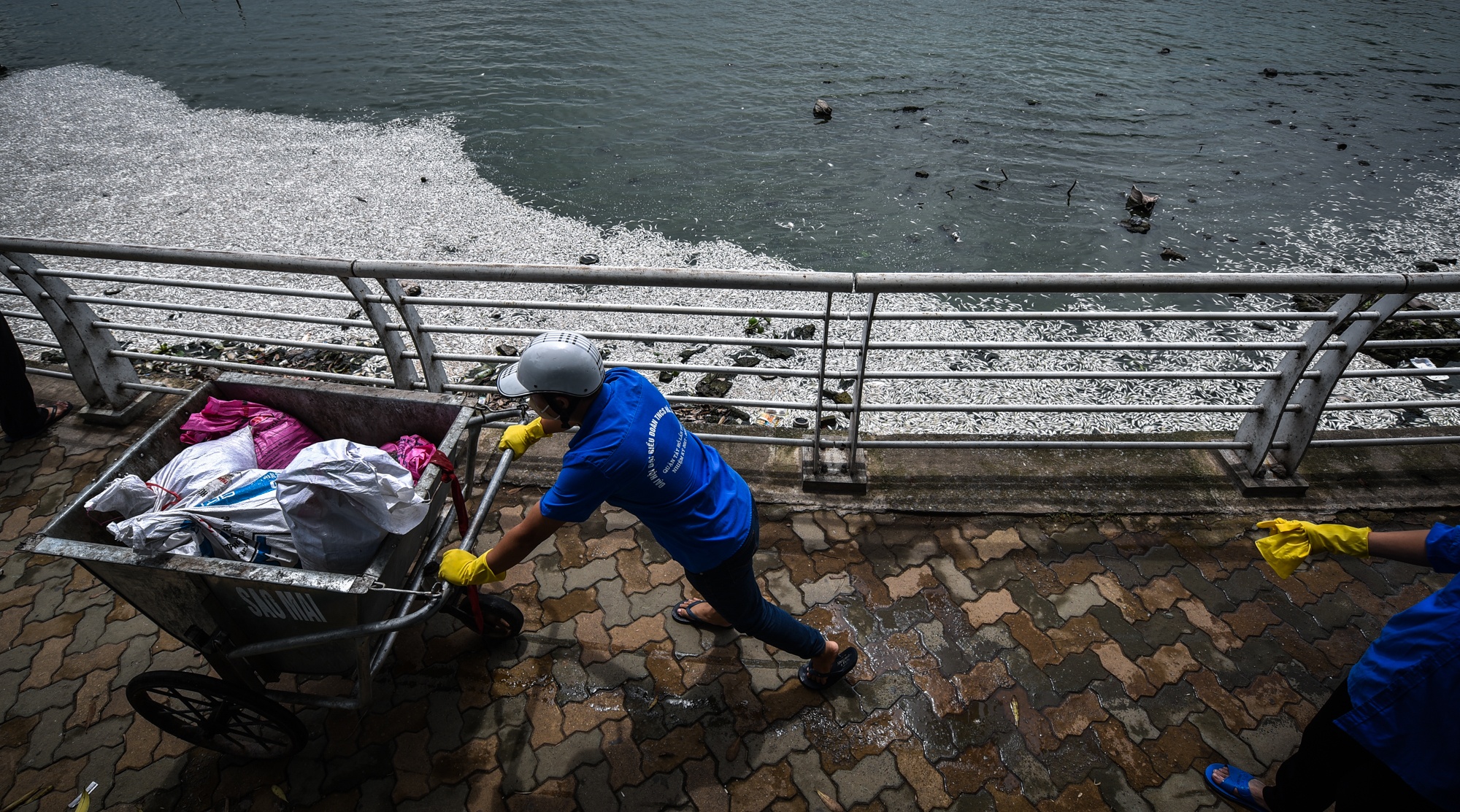 Ca chet noi trang mat ho Tay anh 9