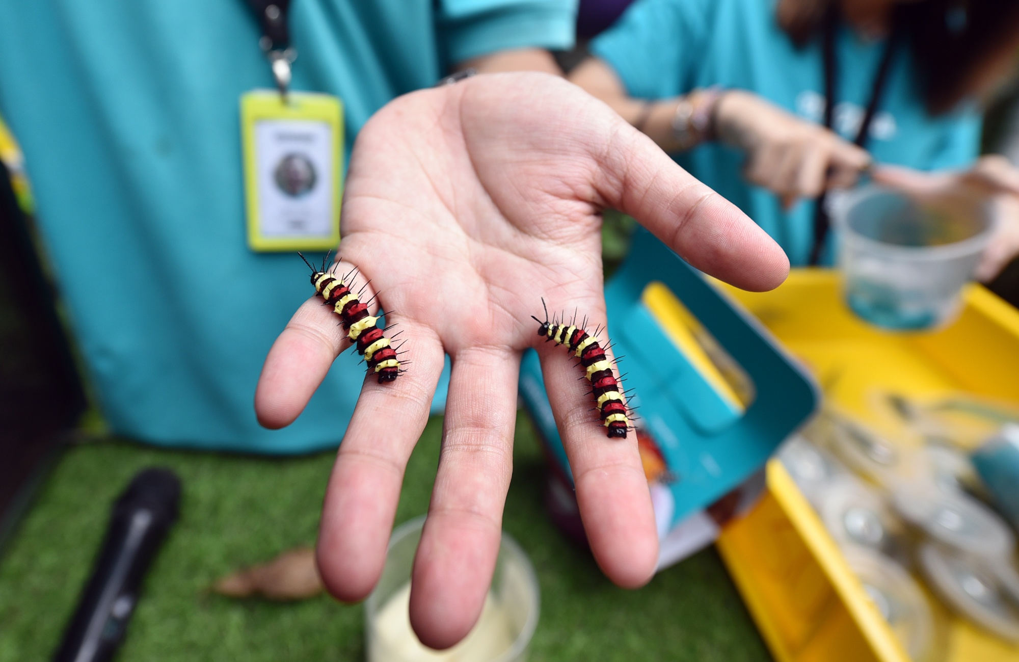 Du lịch đảo ngọc phương đông Penang ảnh 29 Du lich dao ngoc phuong dong Penang anh 29