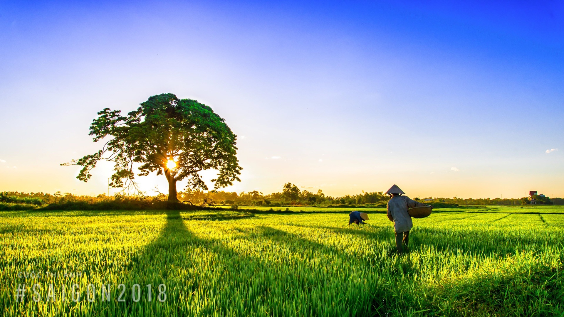 Canh dep Viet Nam thi anh sai gon 2018 anh 16