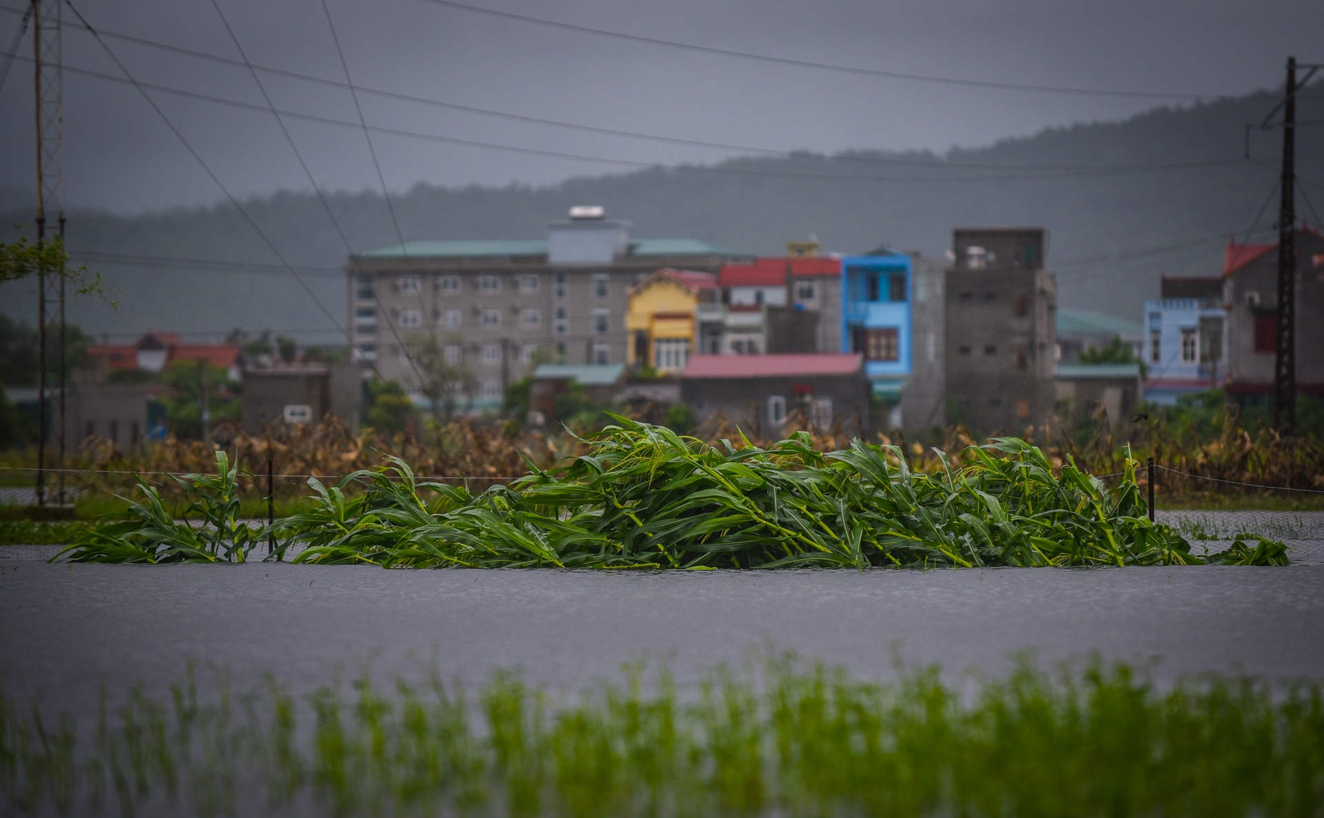 Duong pho Thanh Hoa ngon ngang sau bao so 3 anh 9