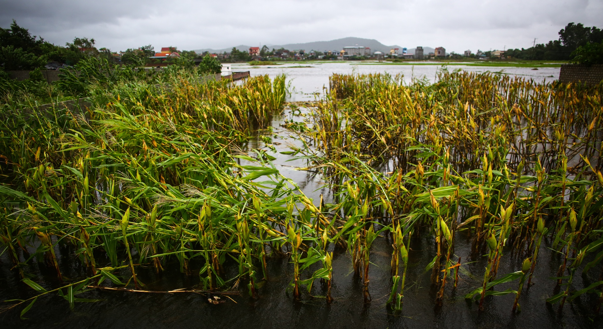 Duong pho Thanh Hoa ngon ngang sau bao so 3 anh 8