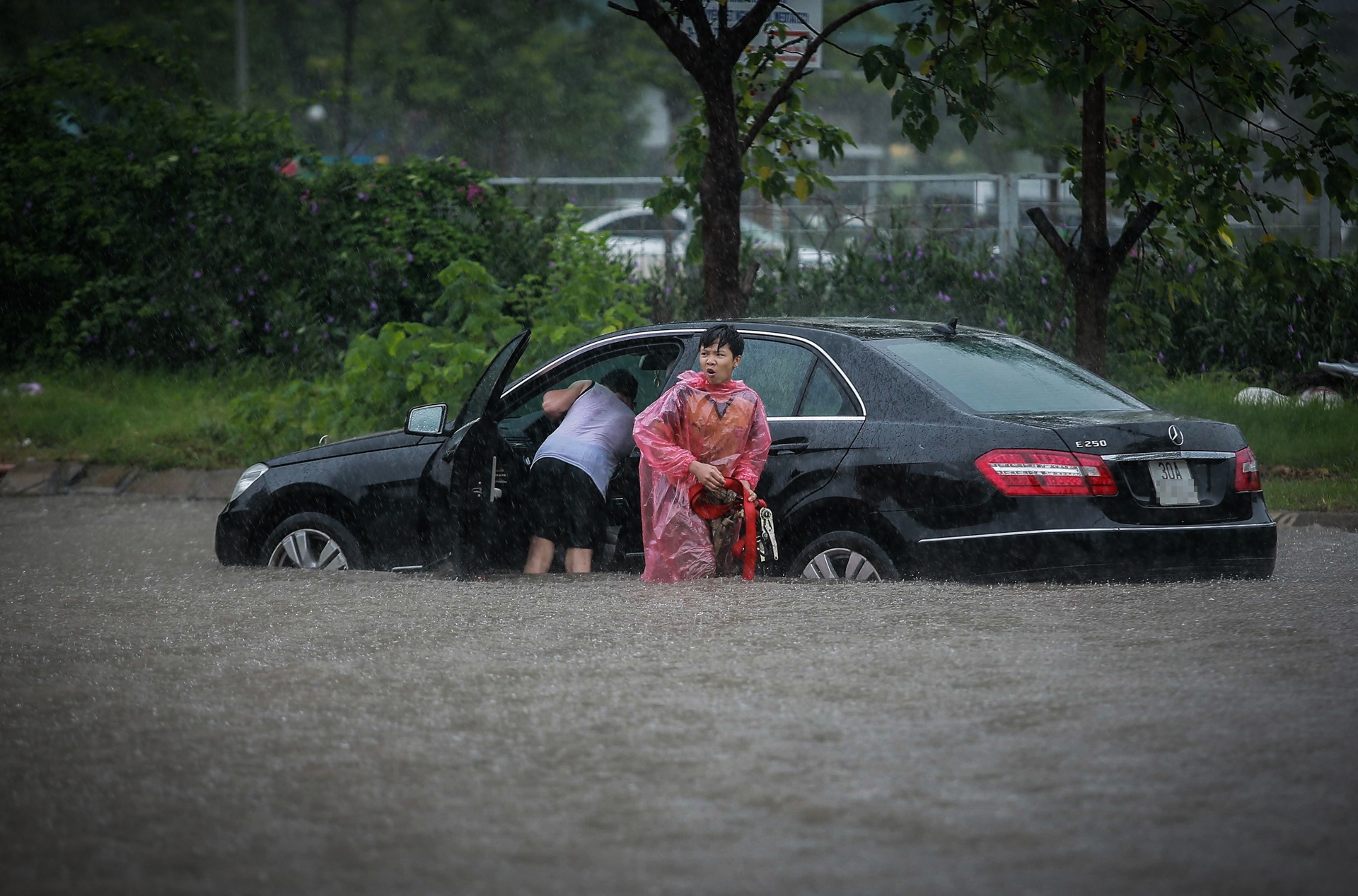 Mua lon gay ngap ung o Ha Noi anh 10