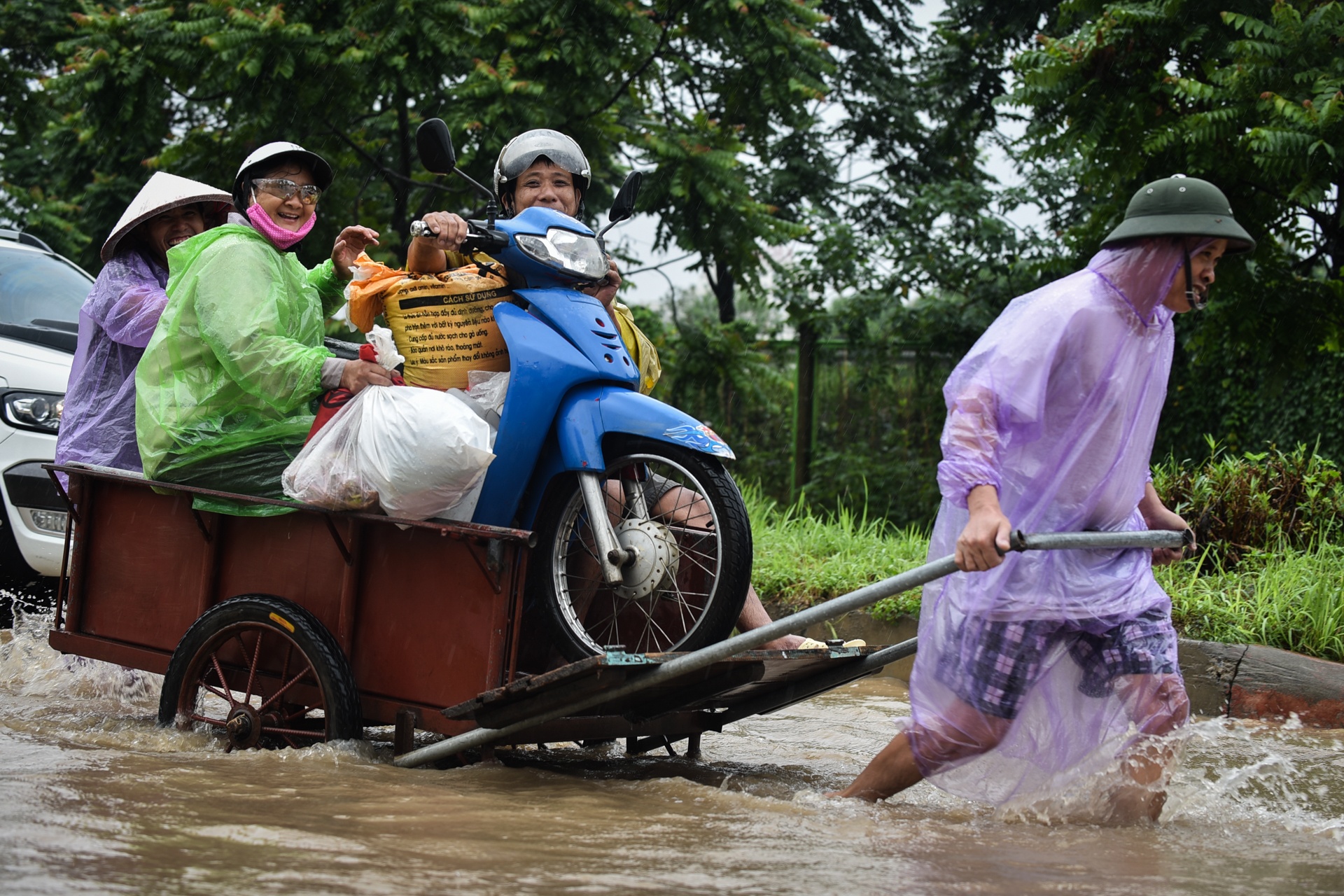 Mua lon gay ngap ung o Ha Noi anh 2