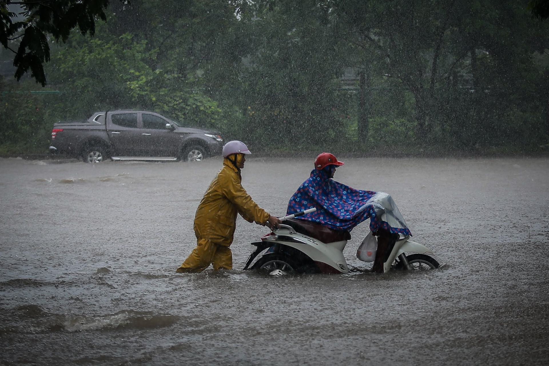 Mua lon gay ngap ung o Ha Noi anh 8