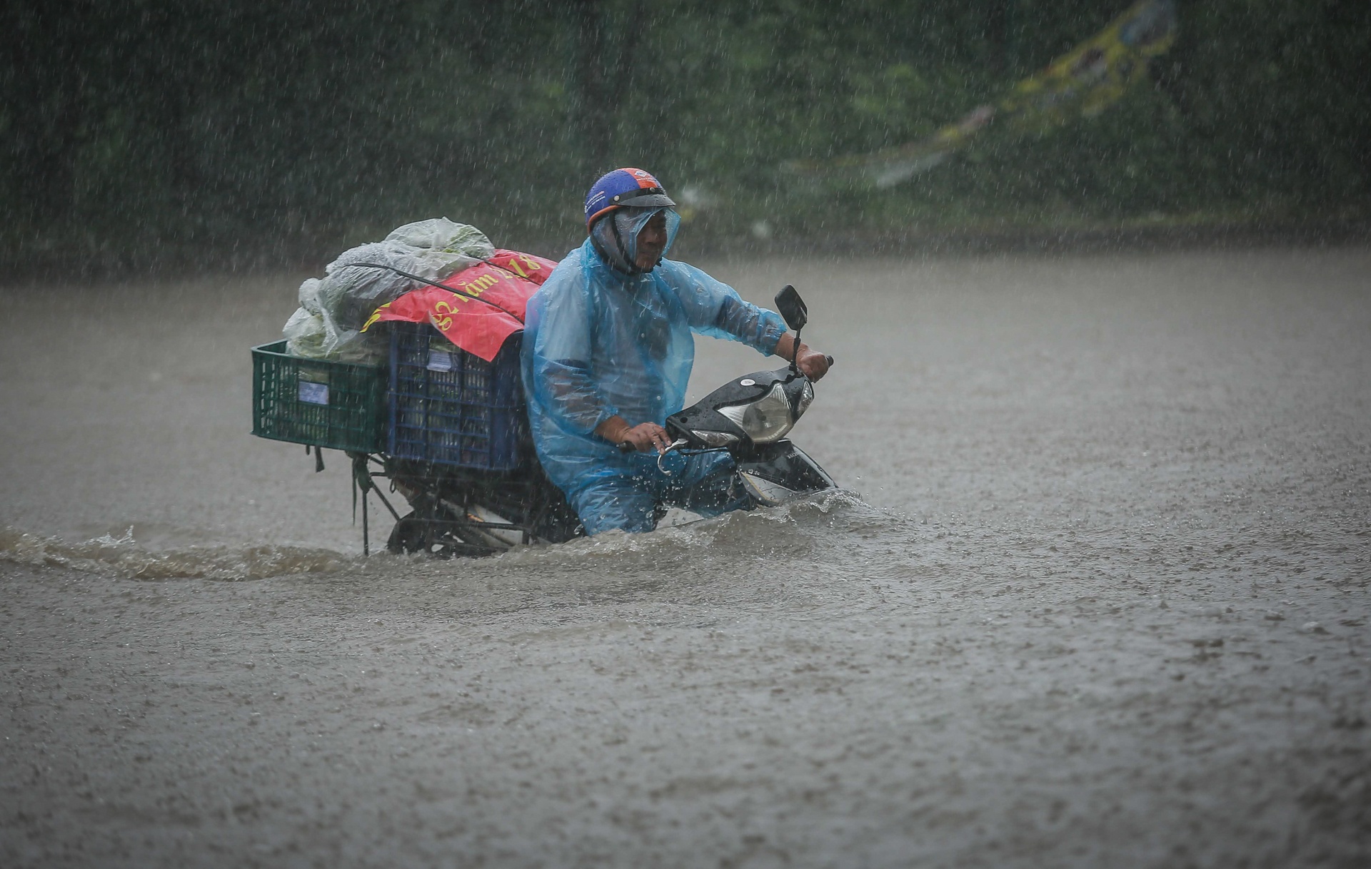 Mua lon gay ngap ung o Ha Noi anh 9