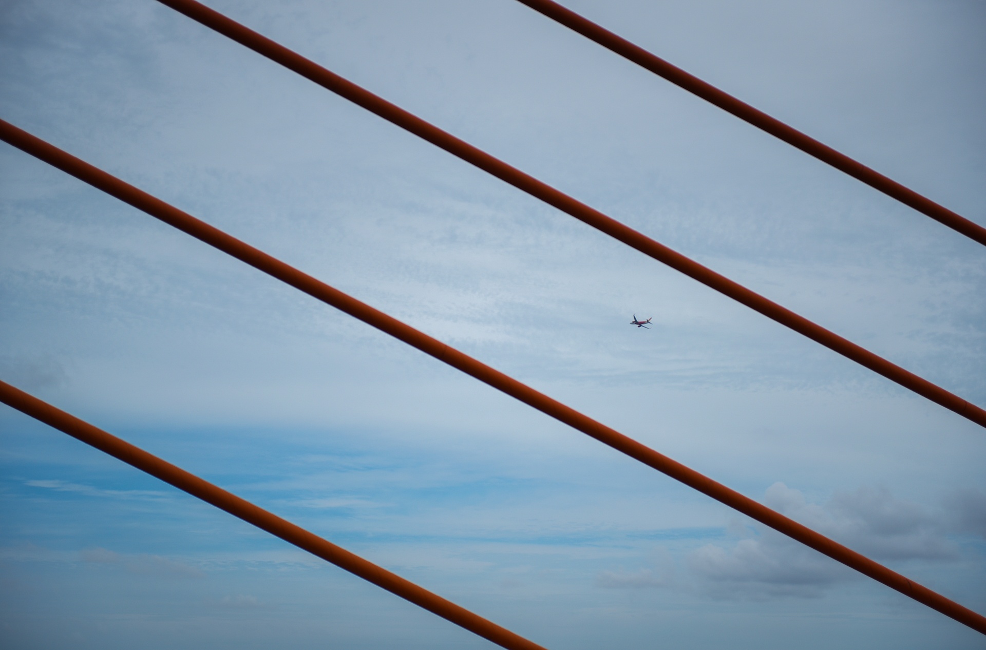 cau bach dang thong xe anh 8