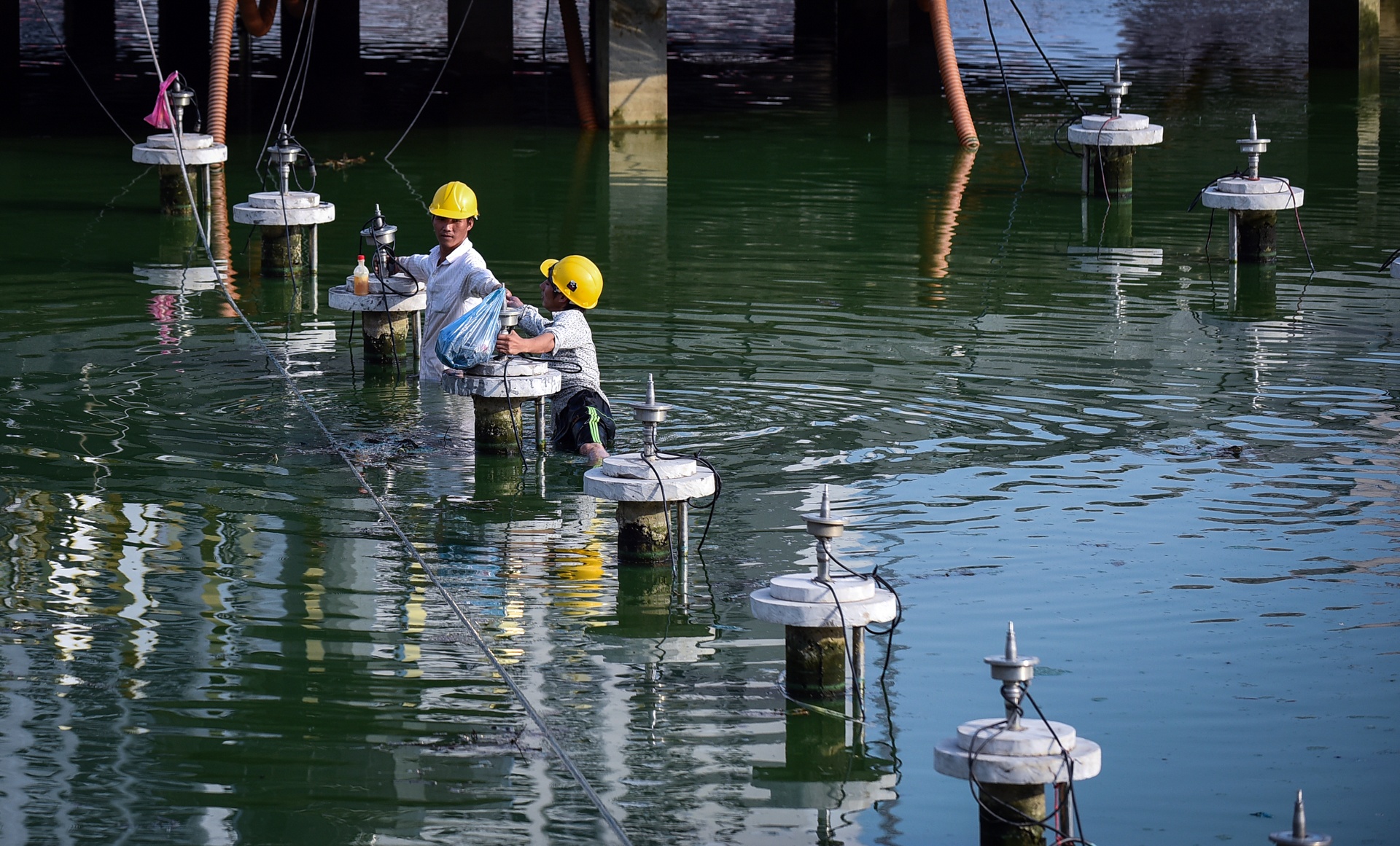 cong vien 300 ty ha noi anh 11