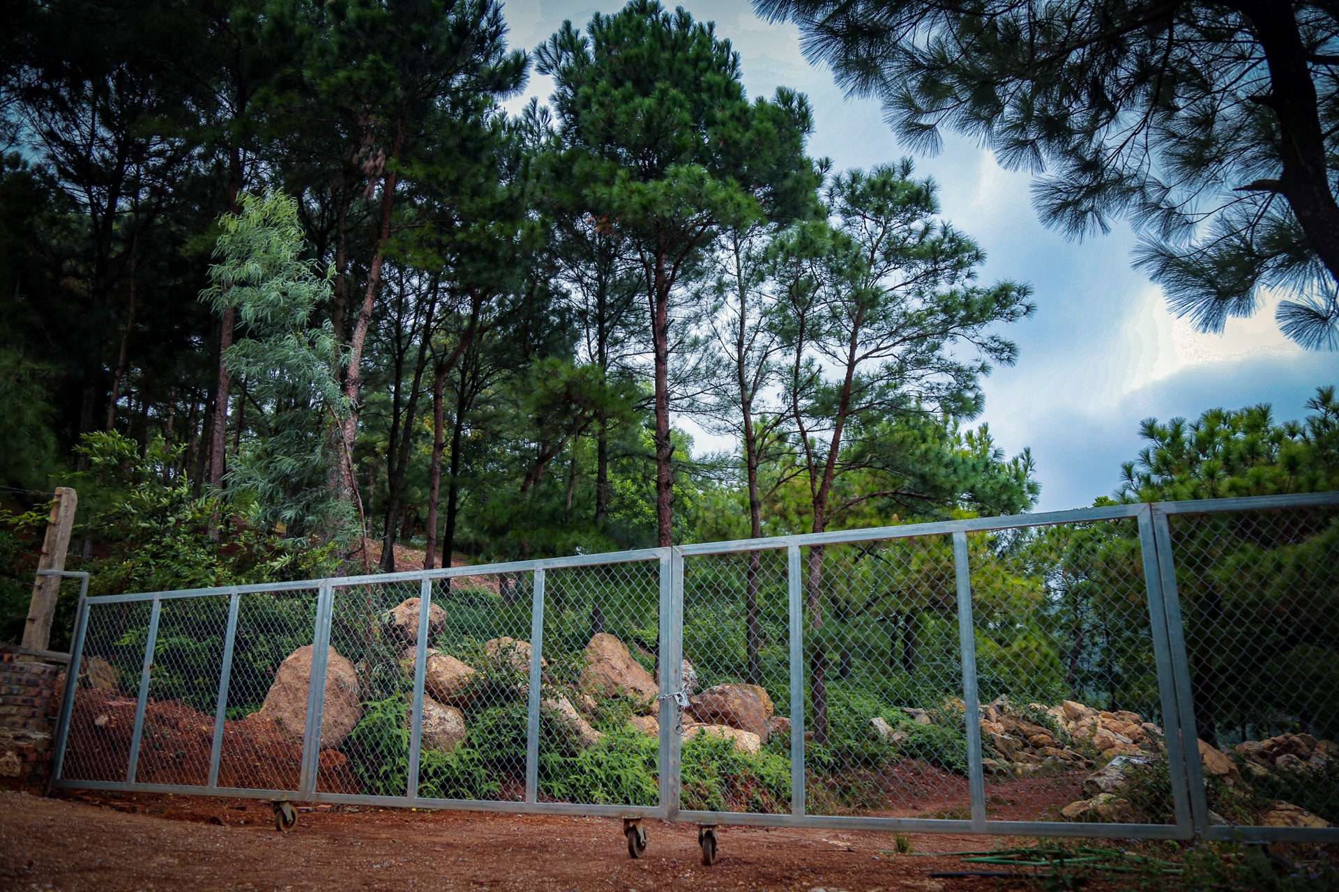 Rung phong ho Soc Son anh 16