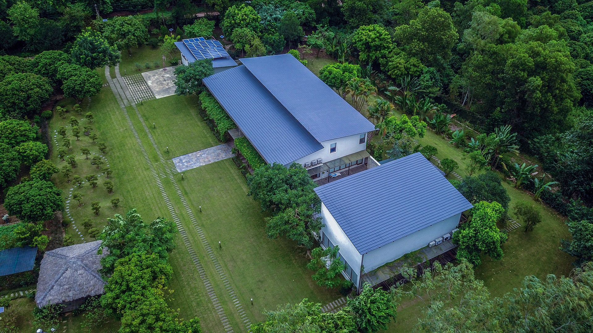 Rung phong ho Soc Son anh 1