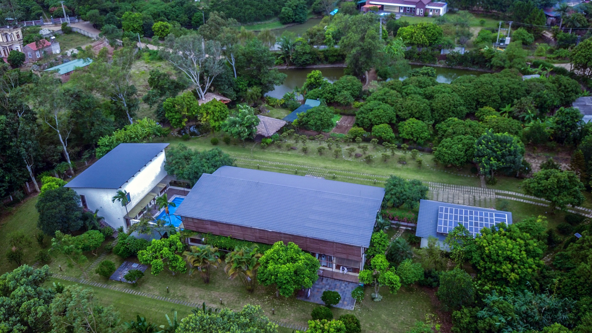 Rung phong ho Soc Son anh 2