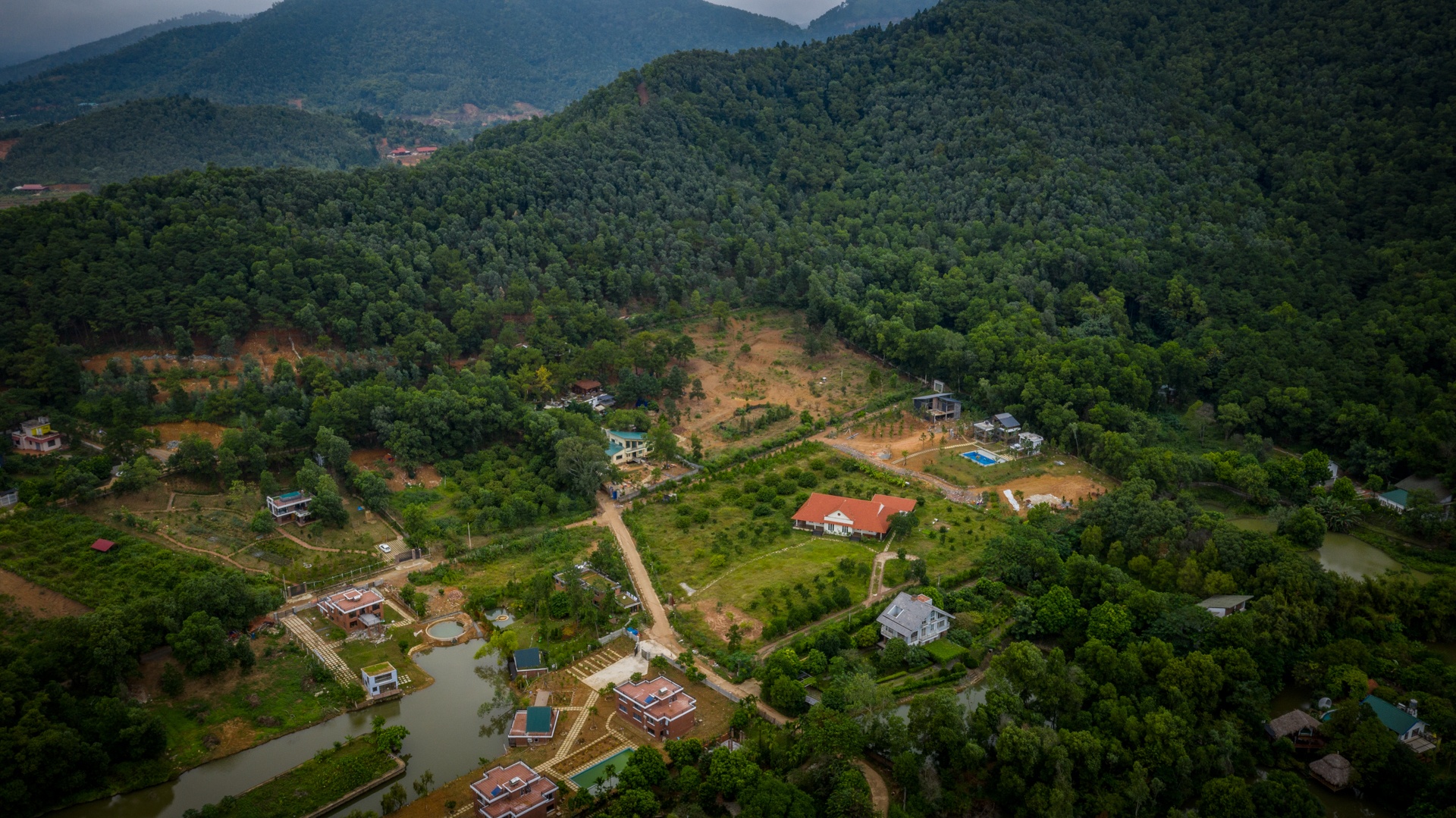 Rung phong ho Soc Son anh 8