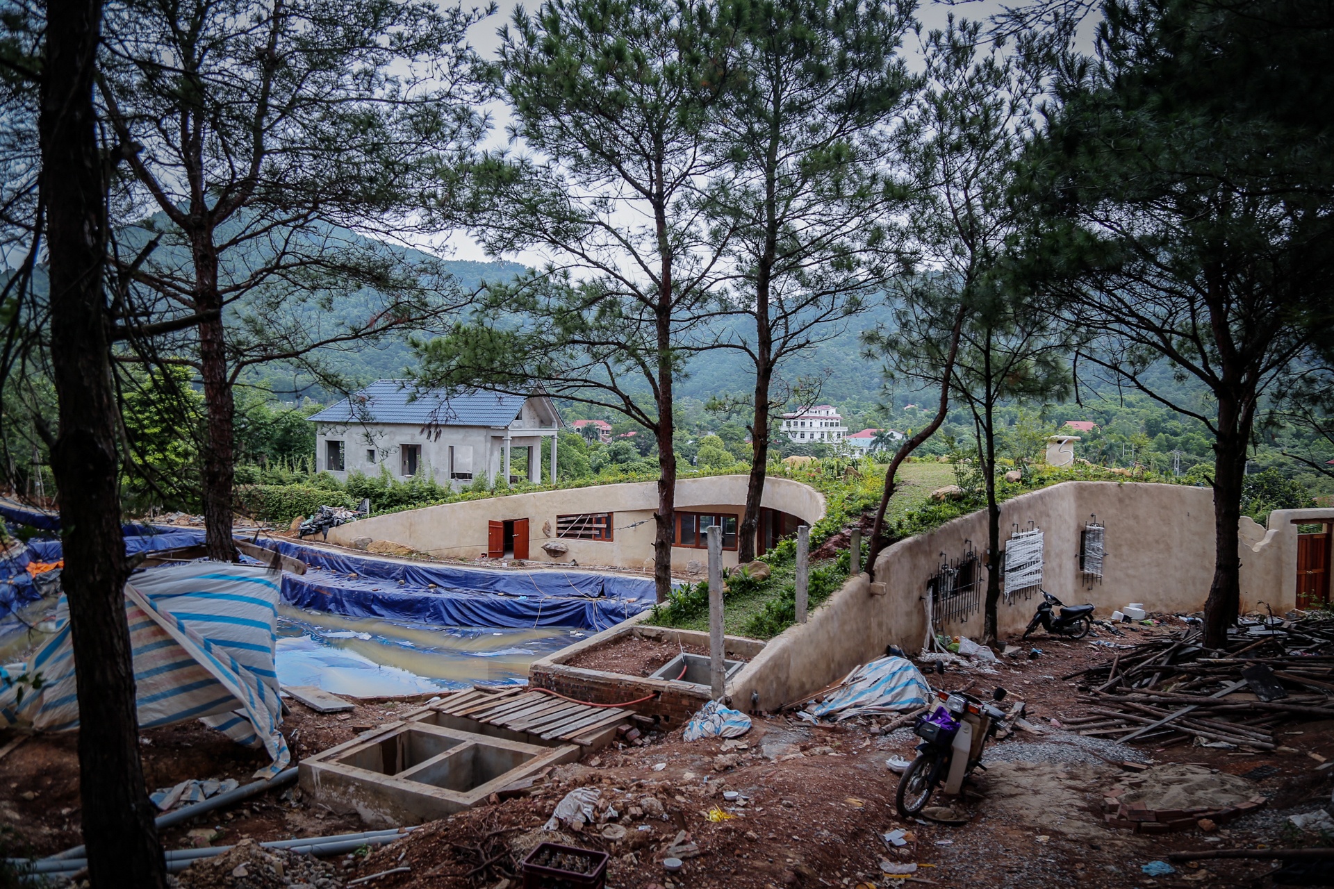 Rung phong ho Soc Son anh 9