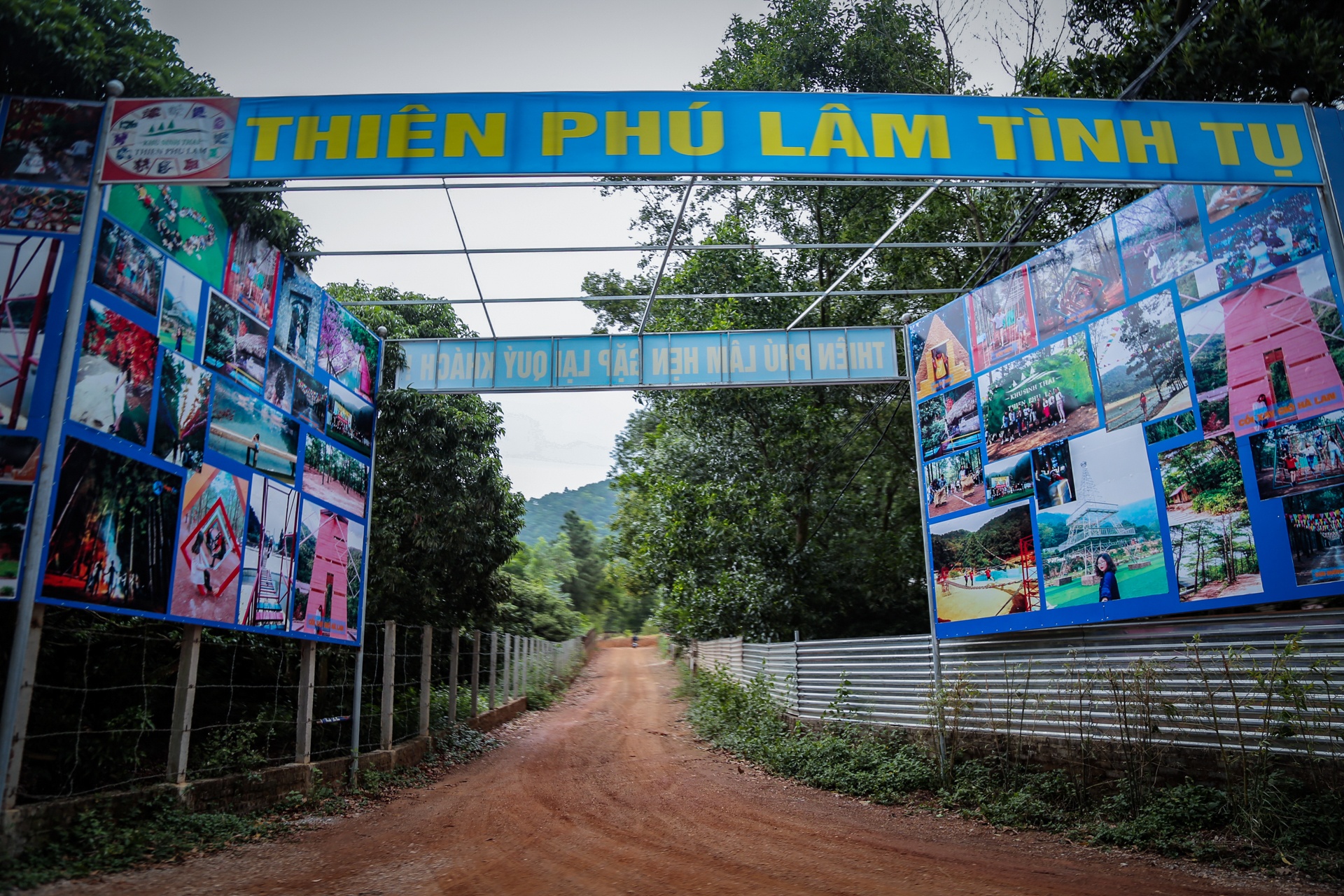 Rung phong ho Soc Son anh 10