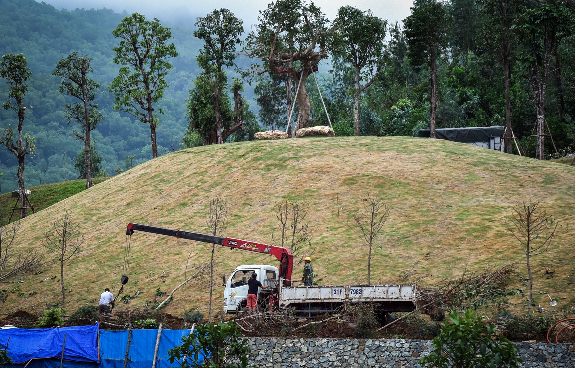 pha rung phong ho soc son anh 10