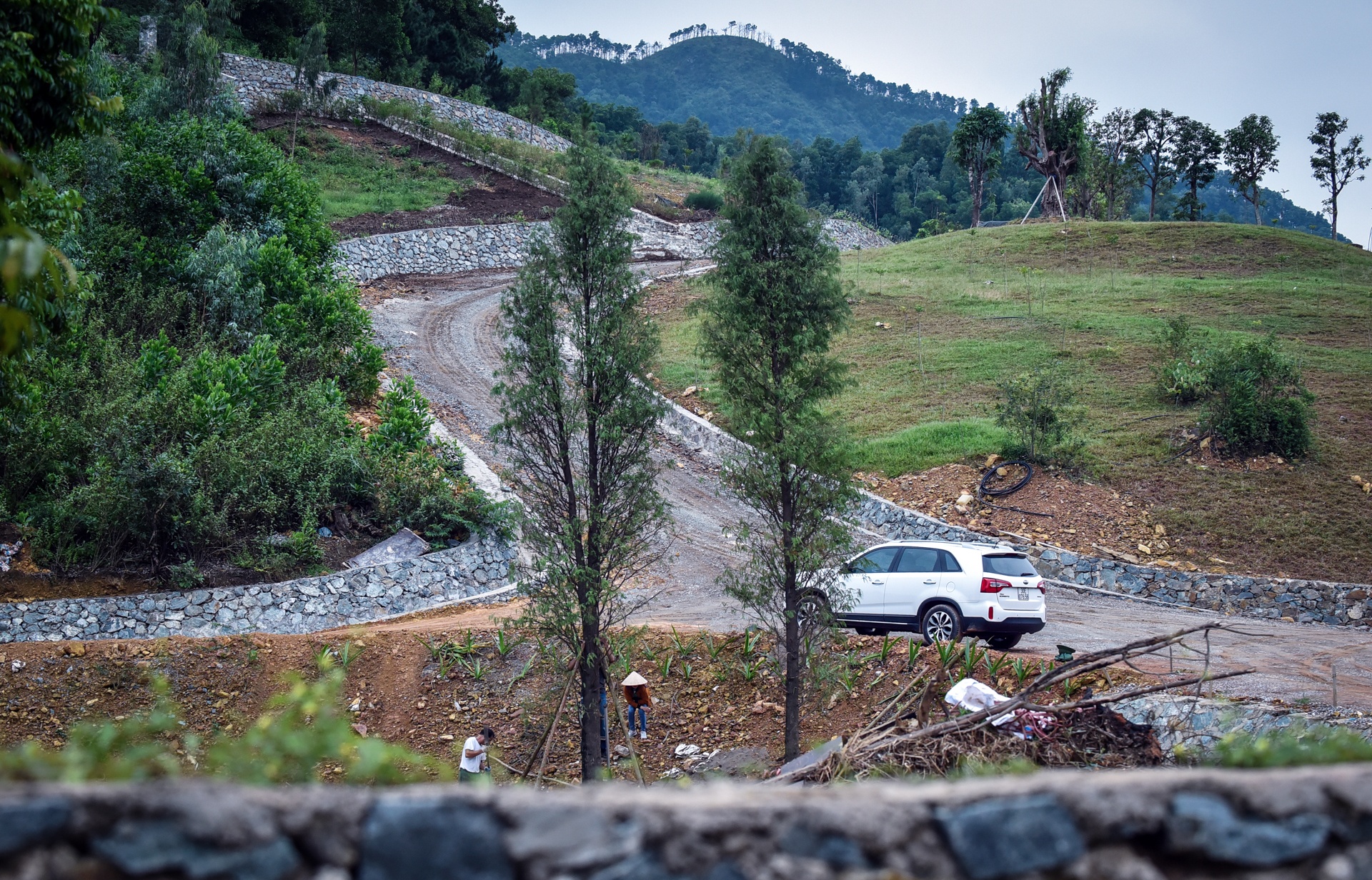 pha rung phong ho soc son anh 2