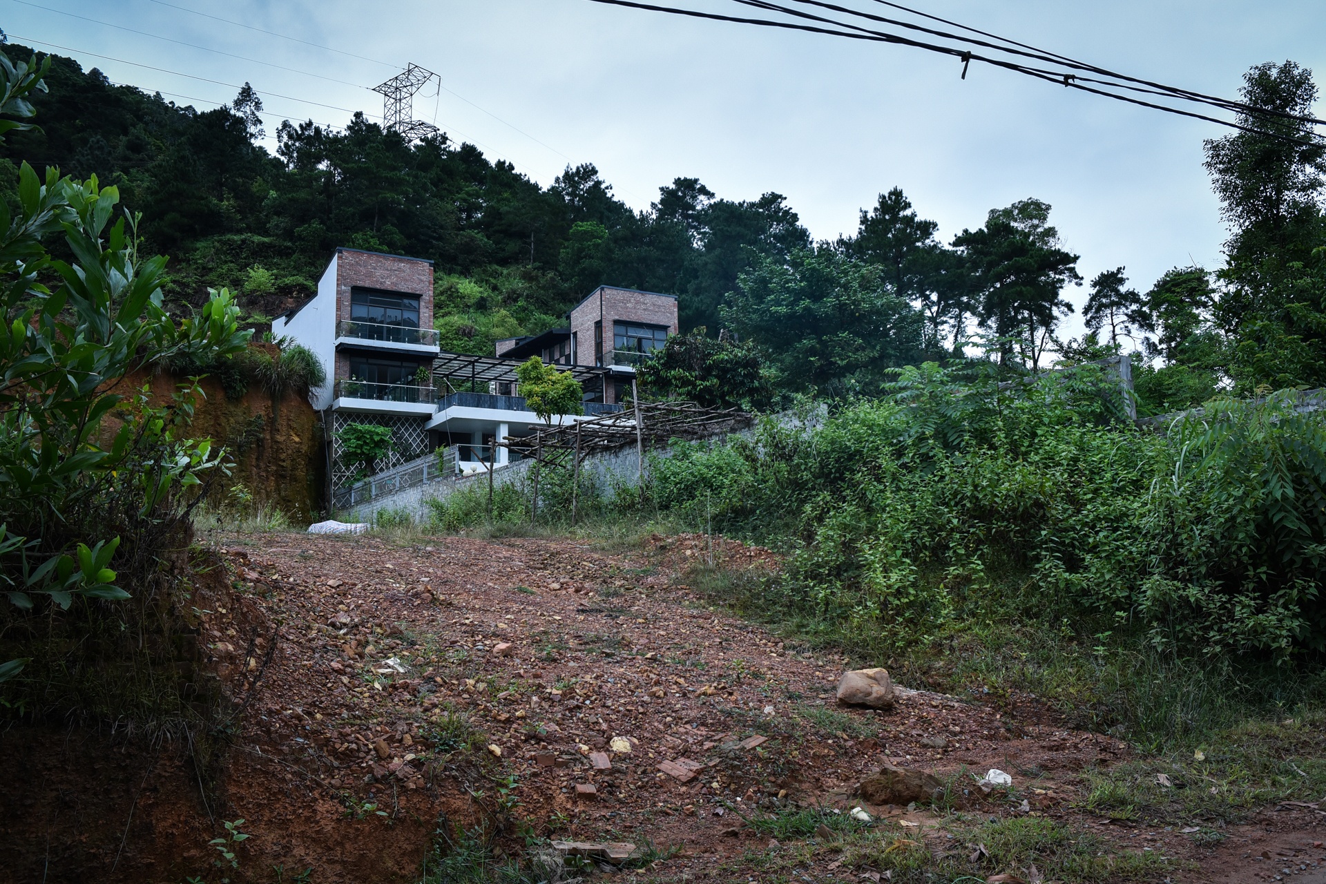 pha rung phong ho soc son anh 7