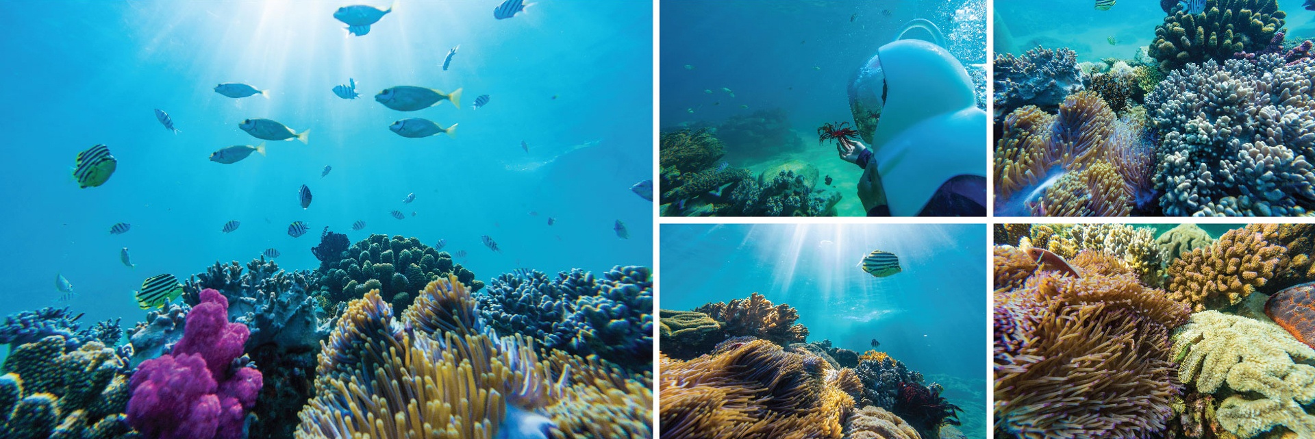 di san viet nam anh 5