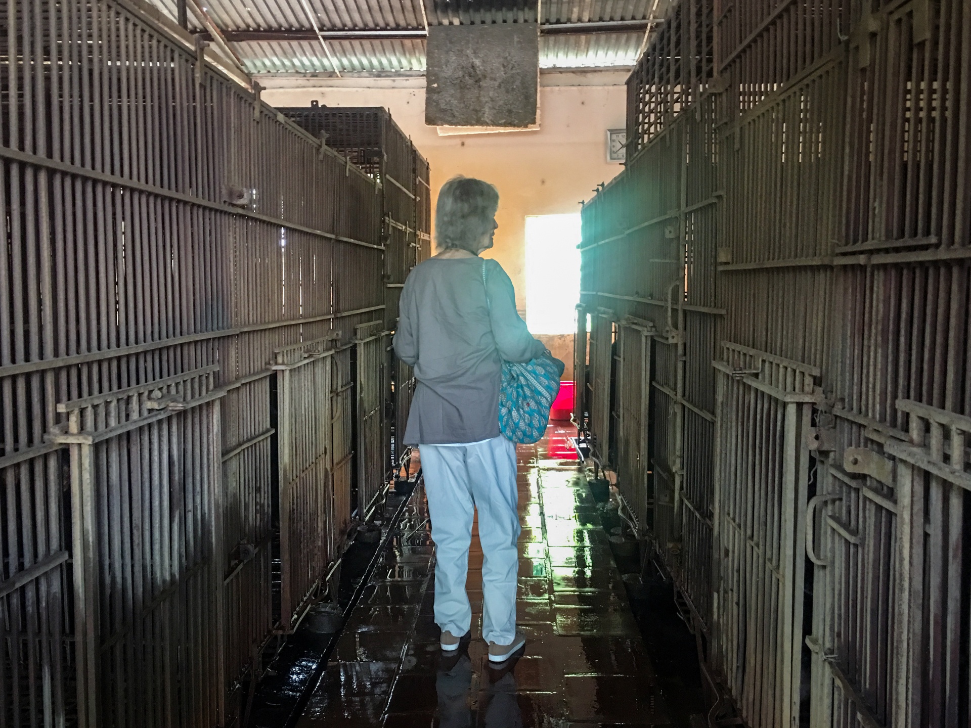 nu hiep sy anh quoc nhan con nuoi anh 4