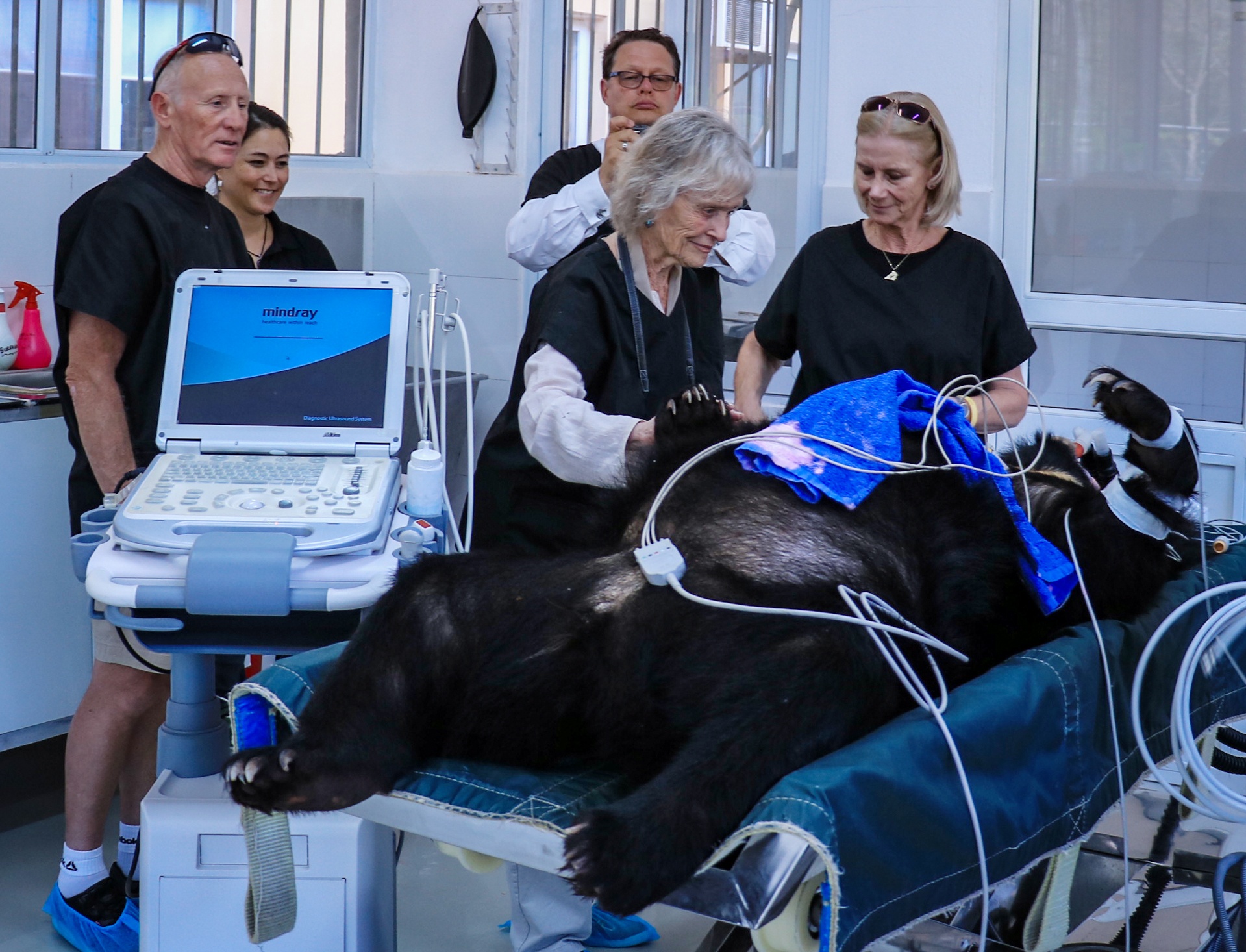 nu hiep sy anh quoc nhan con nuoi anh 6