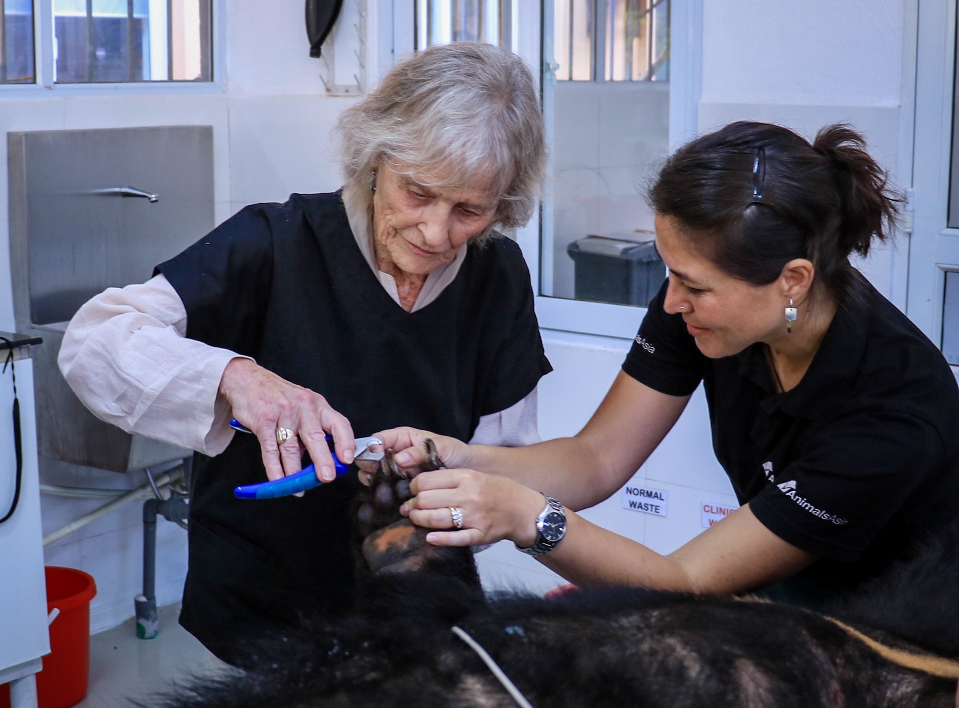 nu hiep sy anh quoc nhan con nuoi anh 8