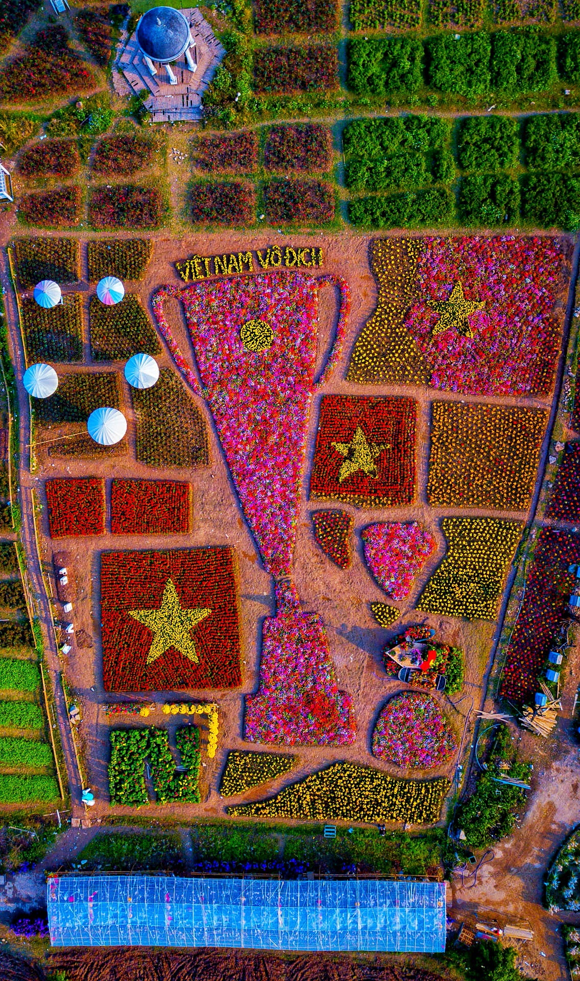 vuon hoa hinh chiec cup vo dich anh 1