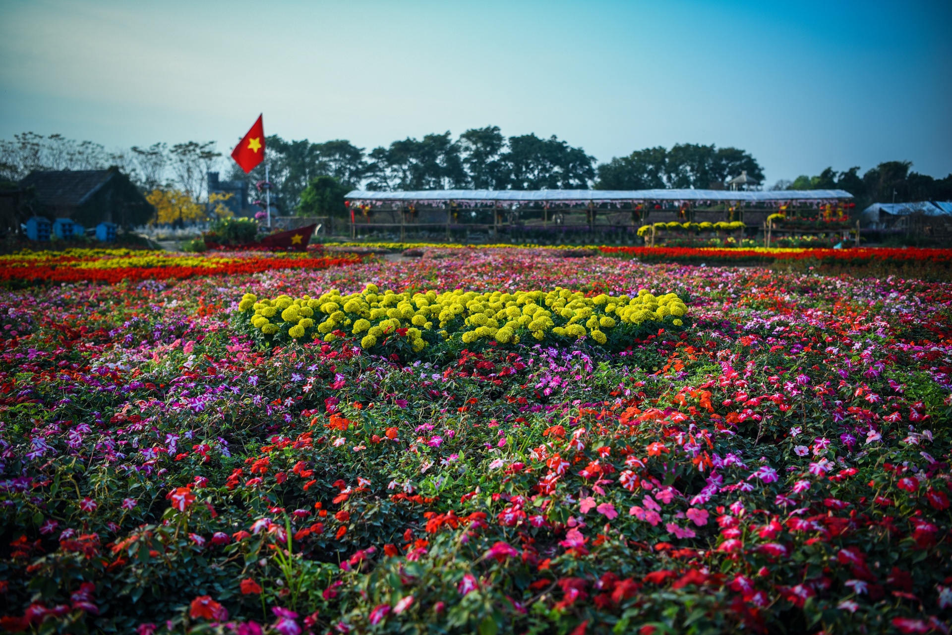 vuon hoa hinh chiec cup vo dich anh 3