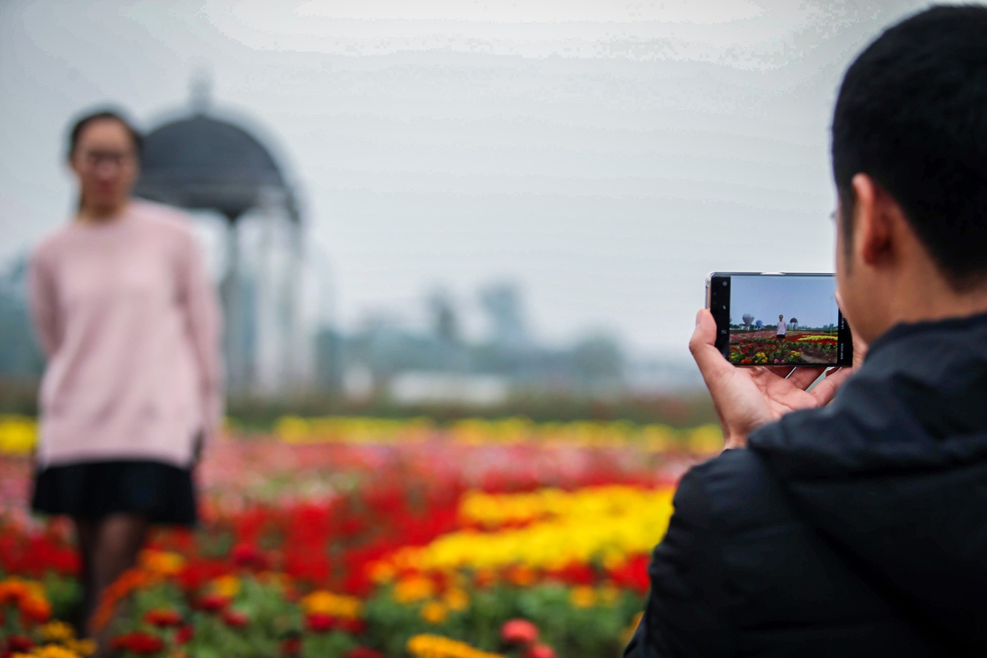 vuon hoa hinh chiec cup vo dich anh 7