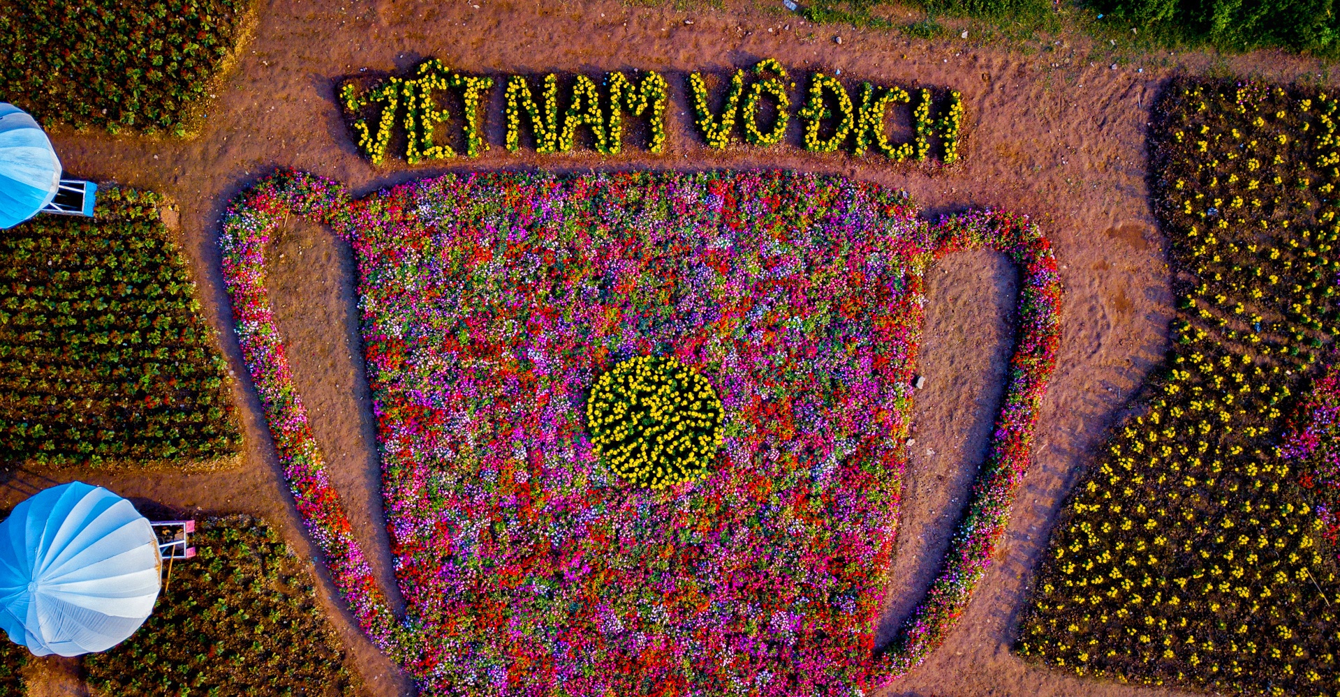 Cup lam tu nghin bong hoa co vu Viet Nam vo dich Asian Cup 2019 hinh anh