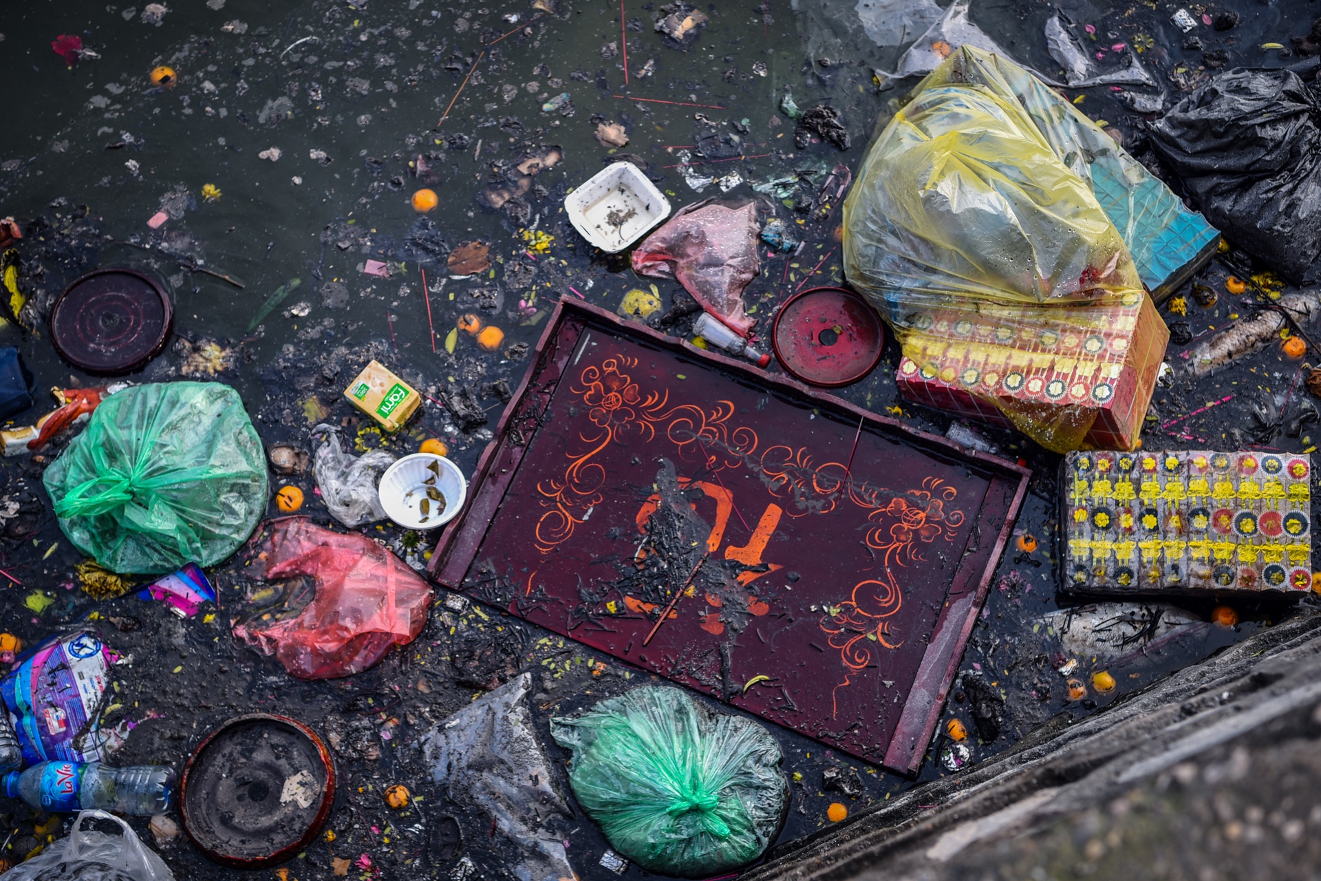 tha ca chep tien ong cong ong tao anh 2