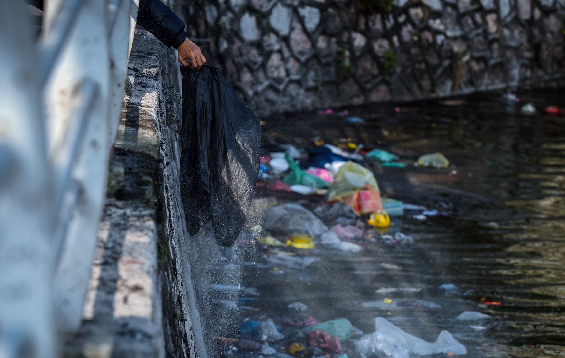 tha ca chep tien ong cong ong tao anh 3