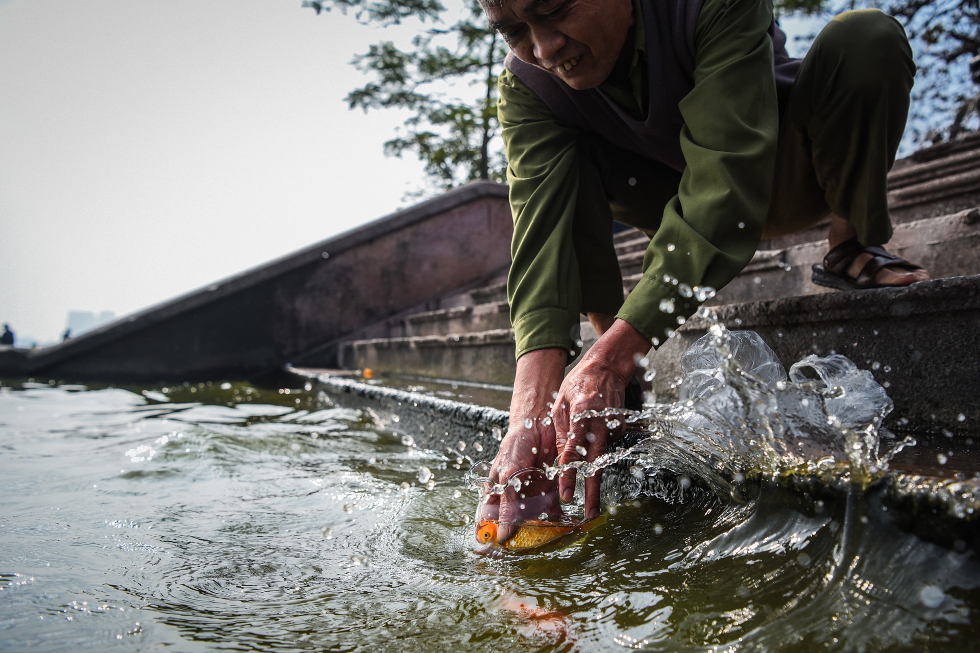 tha ca chep tien ong cong ong tao anh 8