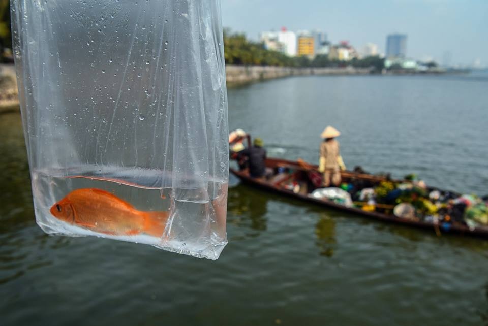 Ca chep mac ket trong tui nylon, ban tho bi nem thang xuong ho hinh anh