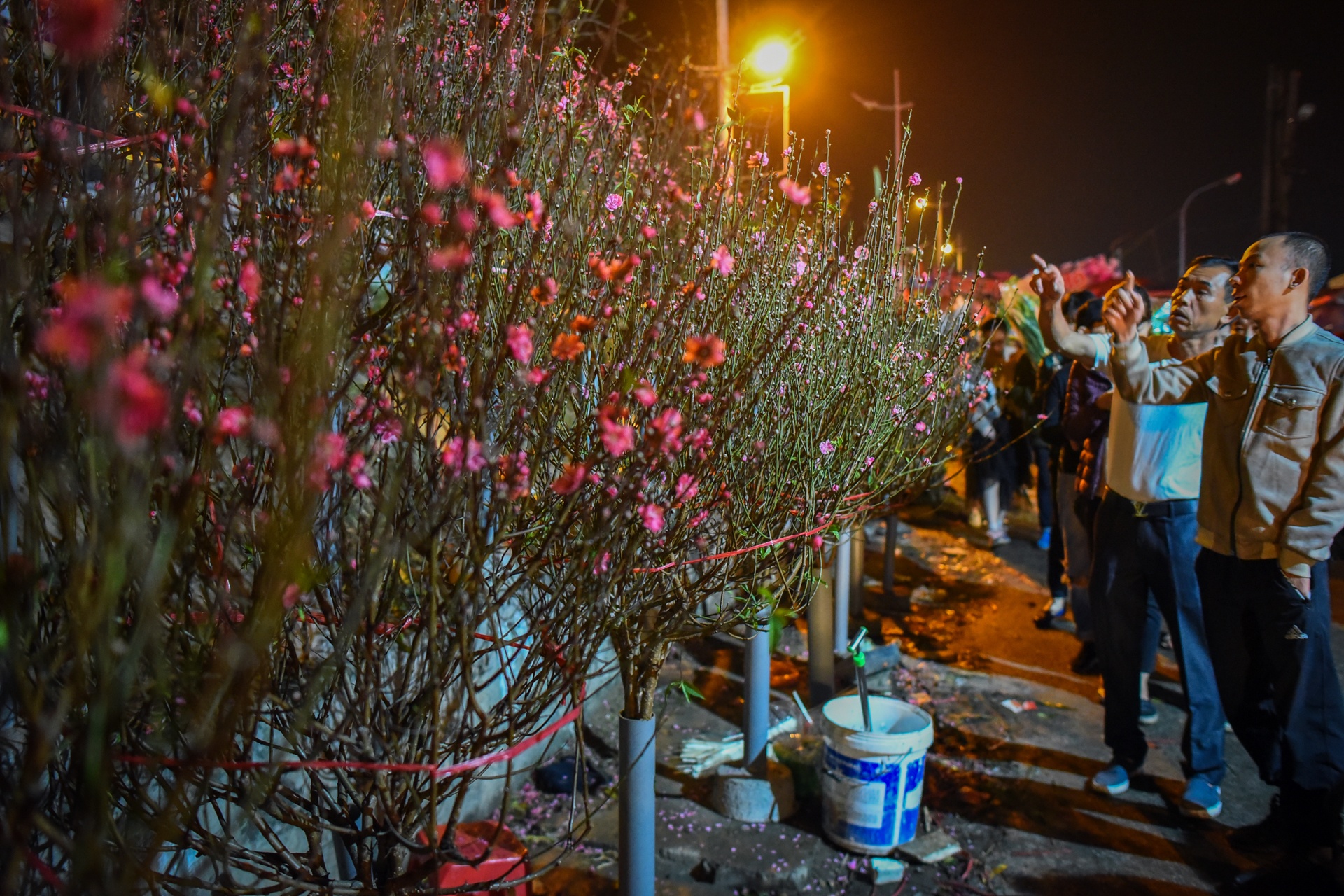 cho hoa ngay Tet anh 7