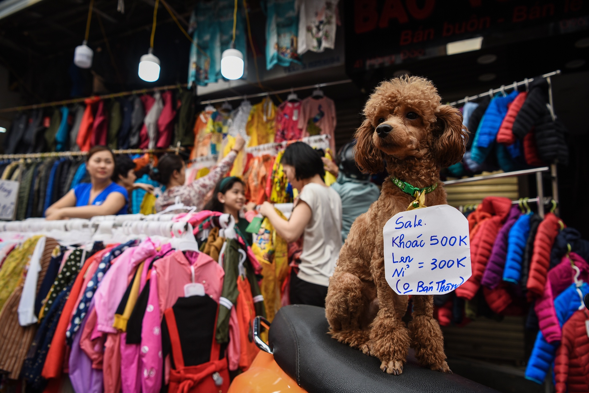 san do giam gia ngay Tet anh 4