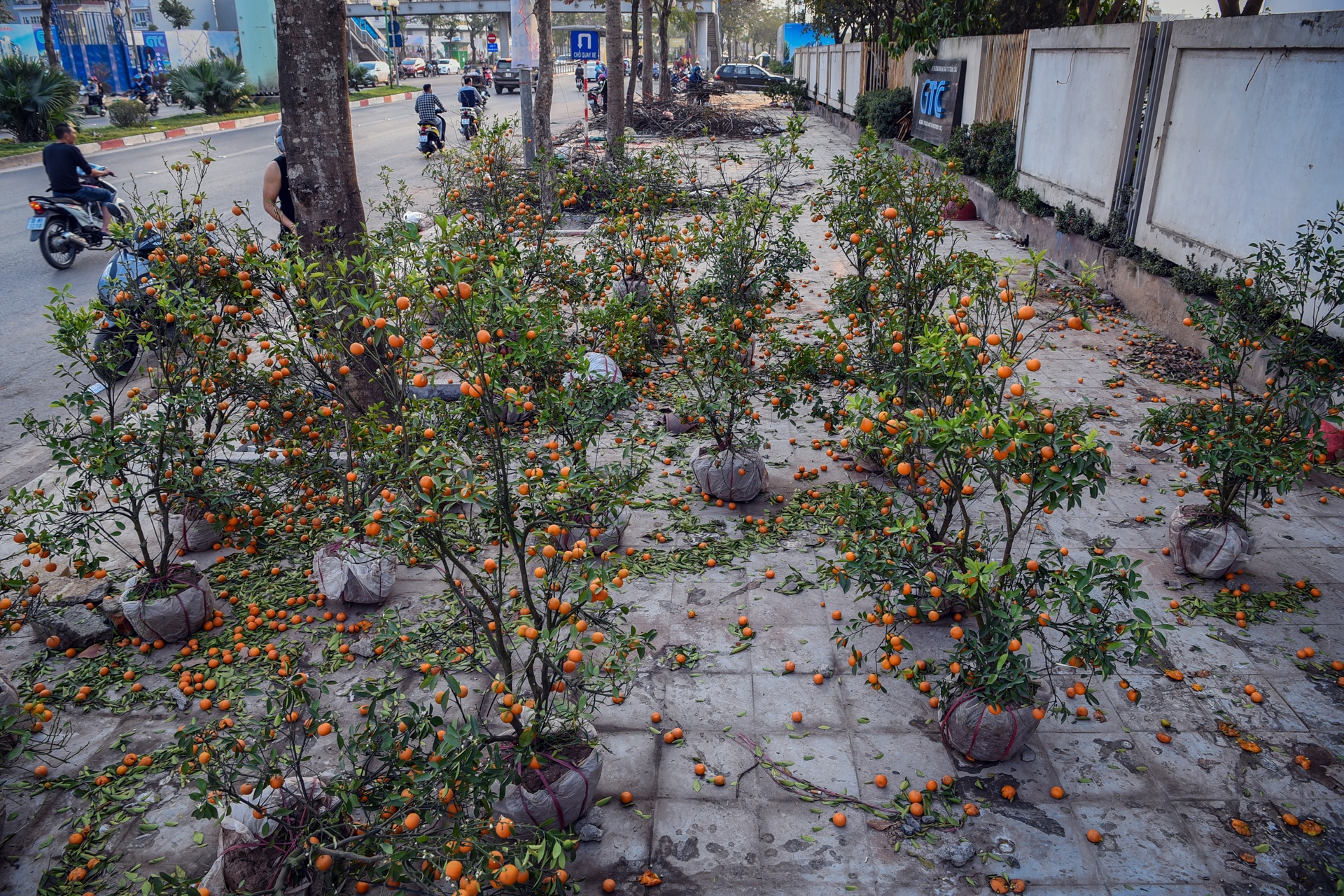 dao quat vut tren duong anh 1