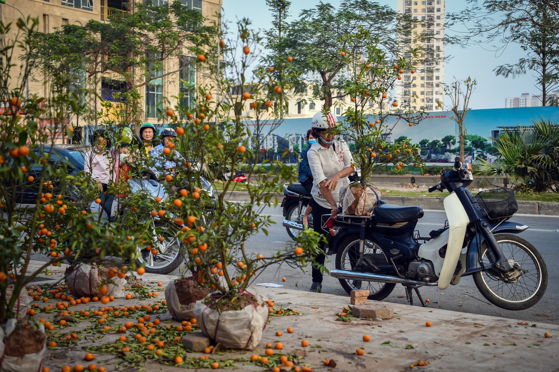 dao quat vut tren duong anh 3