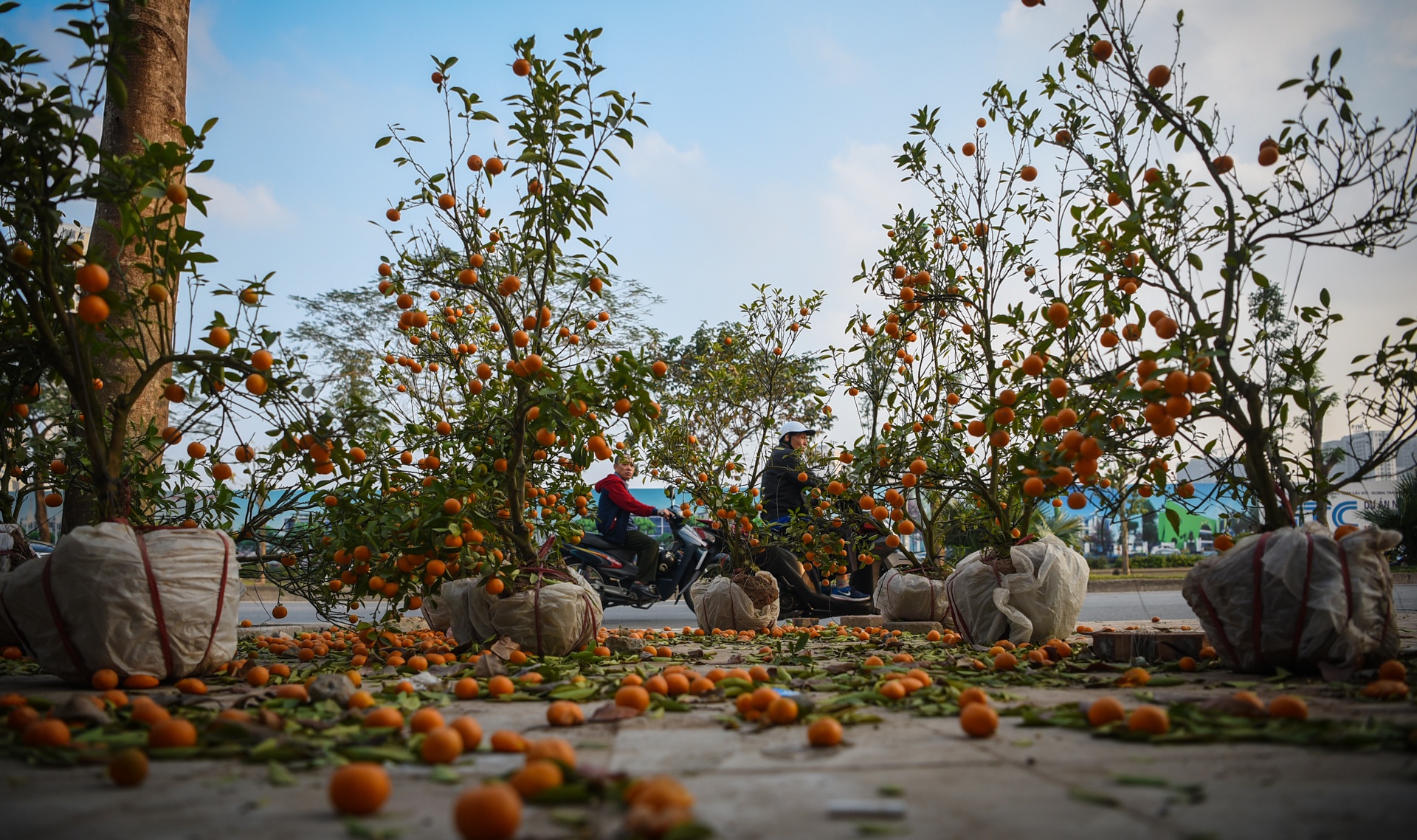 dao quat vut tren duong anh 4