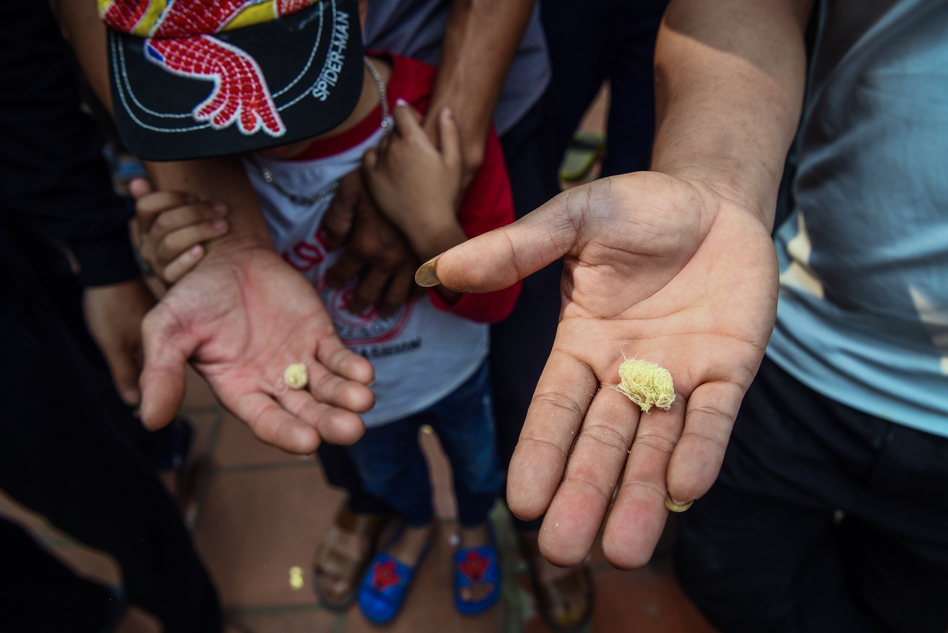 tranh cuop cay bong anh 12