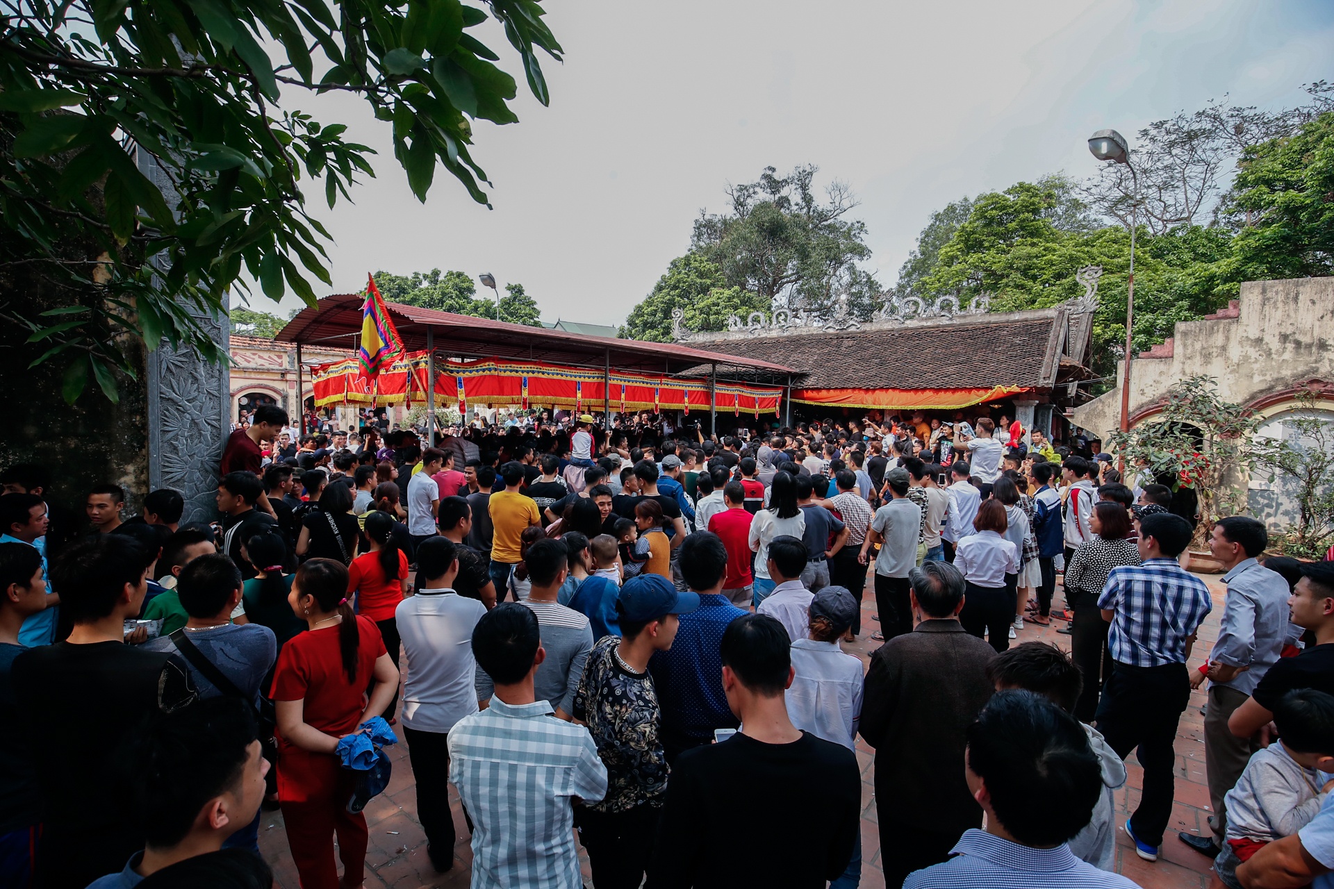 tranh cuop cay bong anh 2