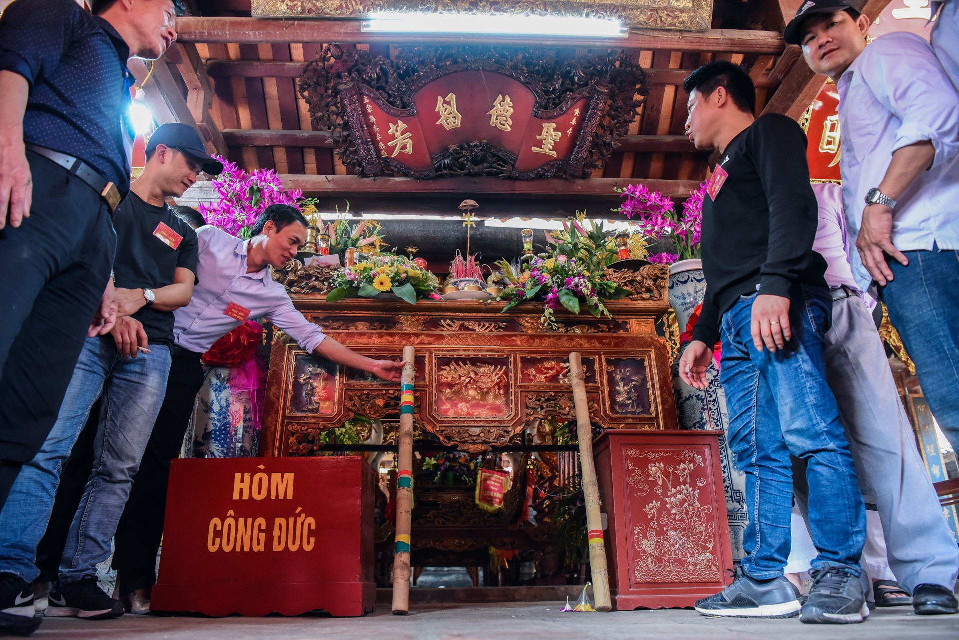 tranh cuop cay bong anh 3