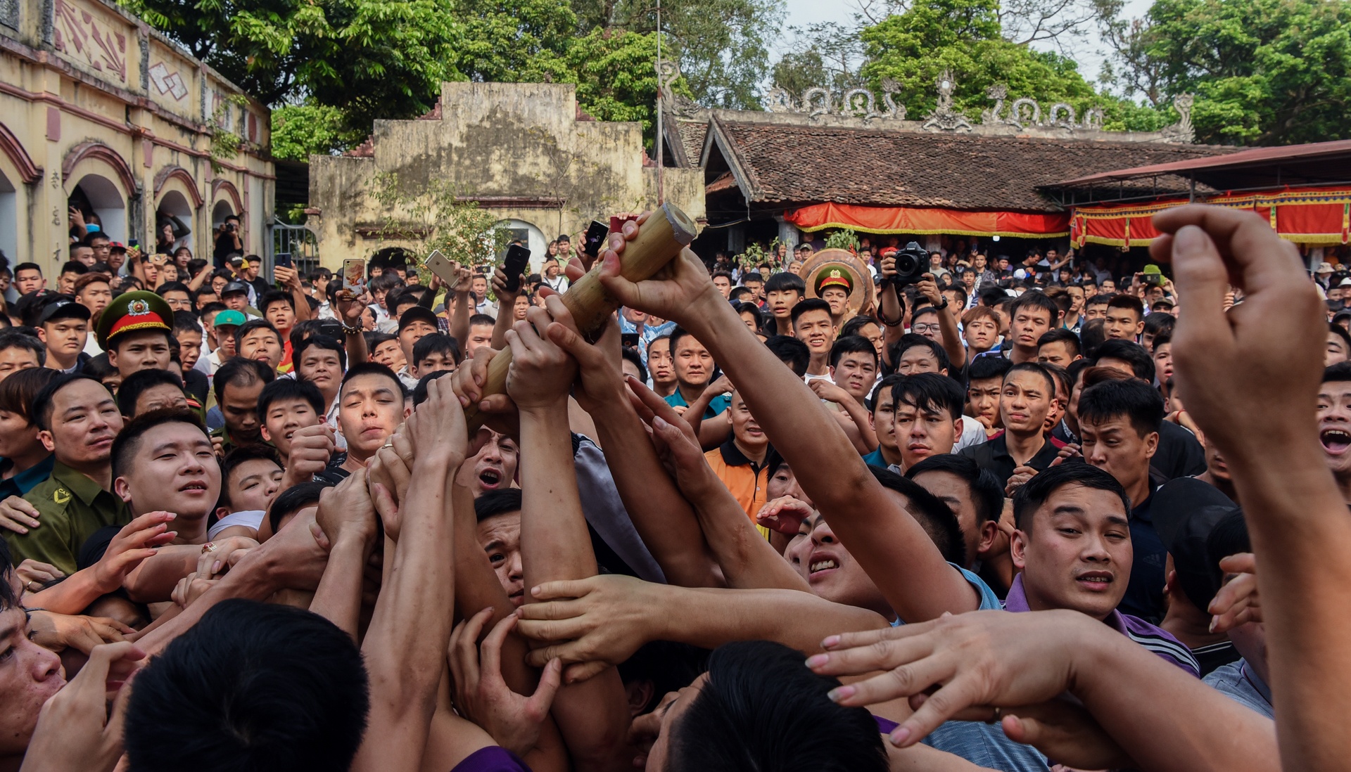 tranh cuop cay bong anh 4