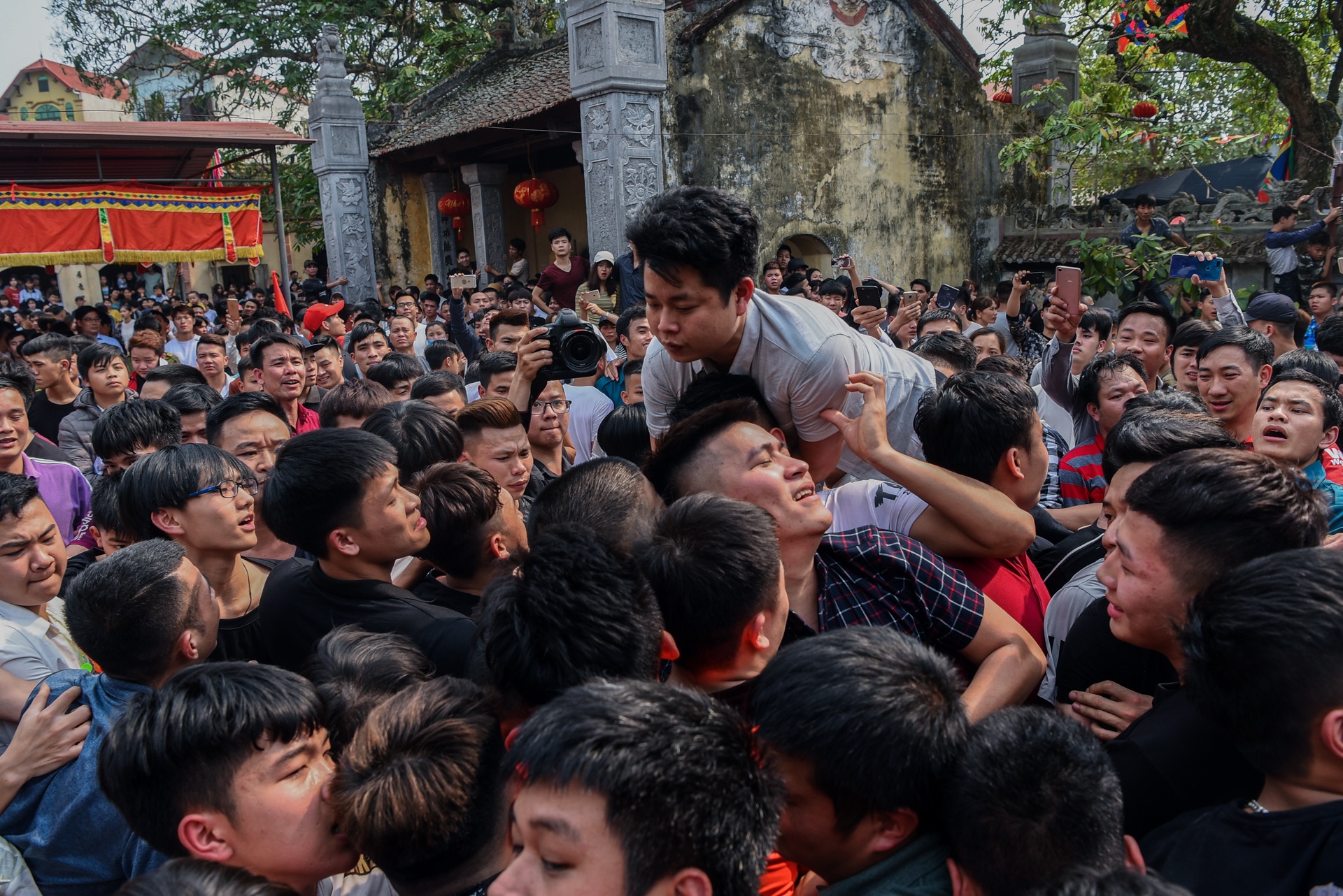 tranh cuop cay bong anh 5