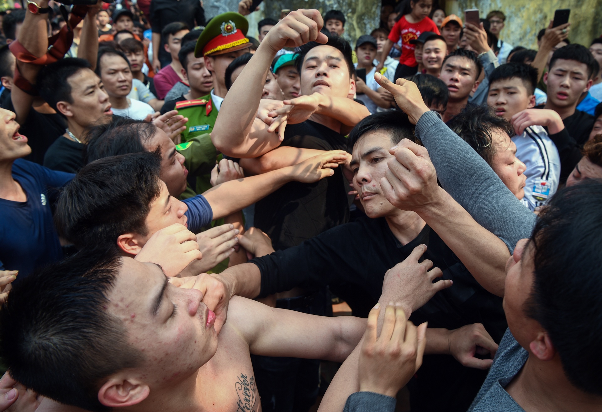 tranh cuop cay bong anh 7